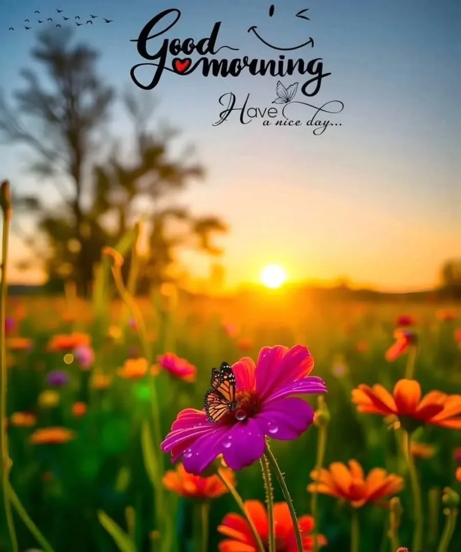 Good morning, beautiful people! What a fabulous morning it is🩷🩵#kindness#compassion#lovecommunity