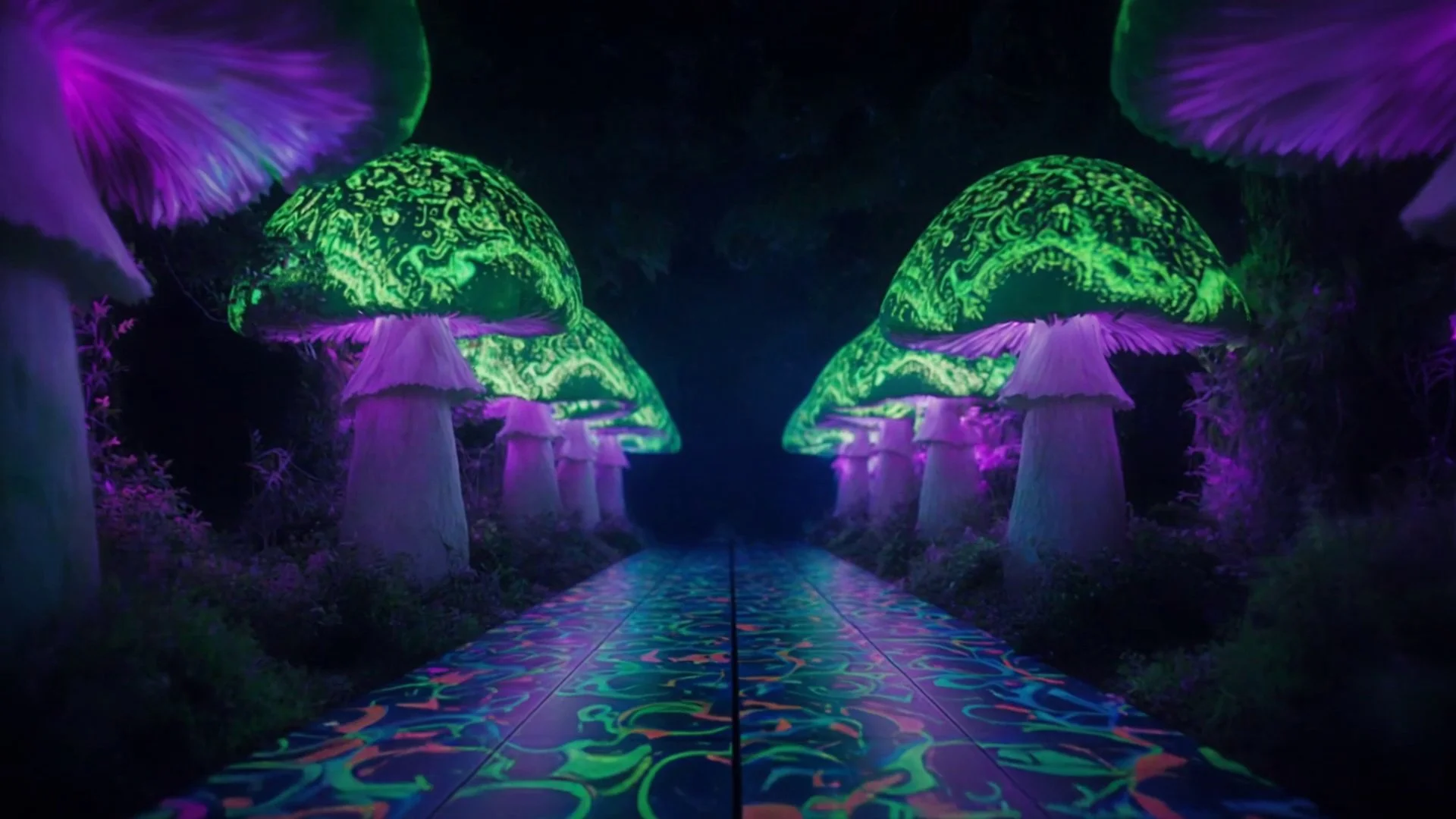 Fractal Mushroom Canopy.jpg