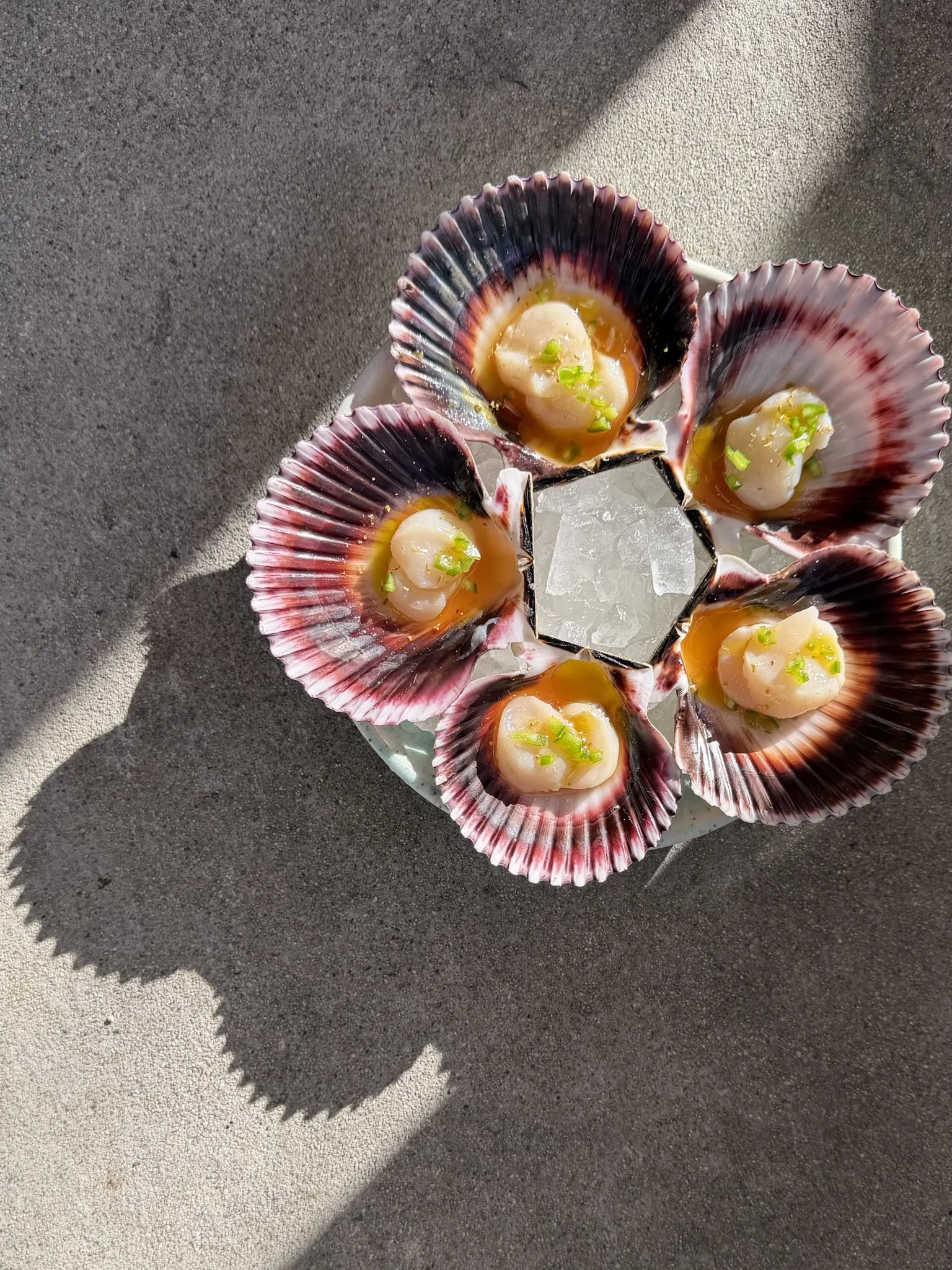 scallops