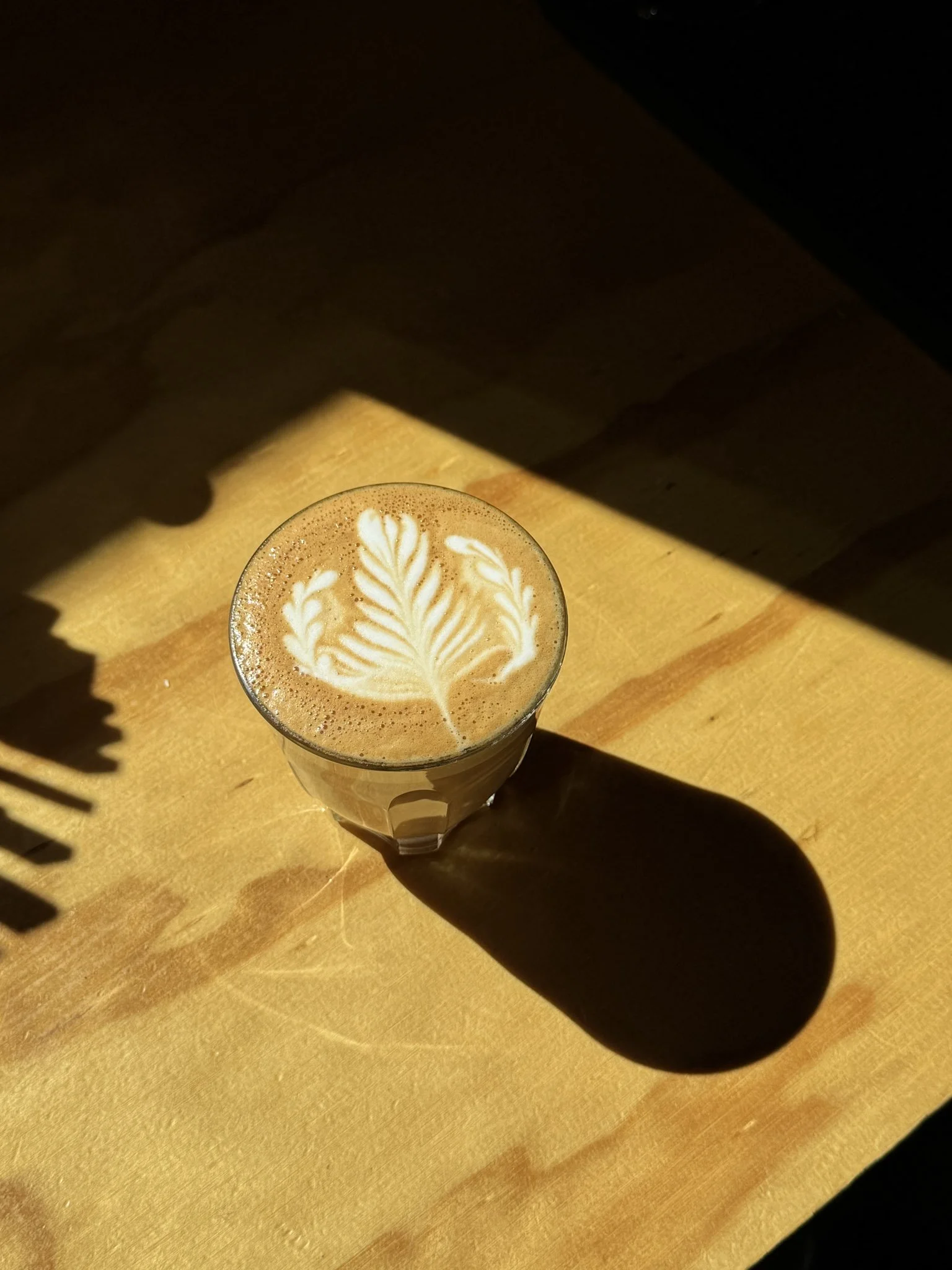 coffee all day amigo coffee barista