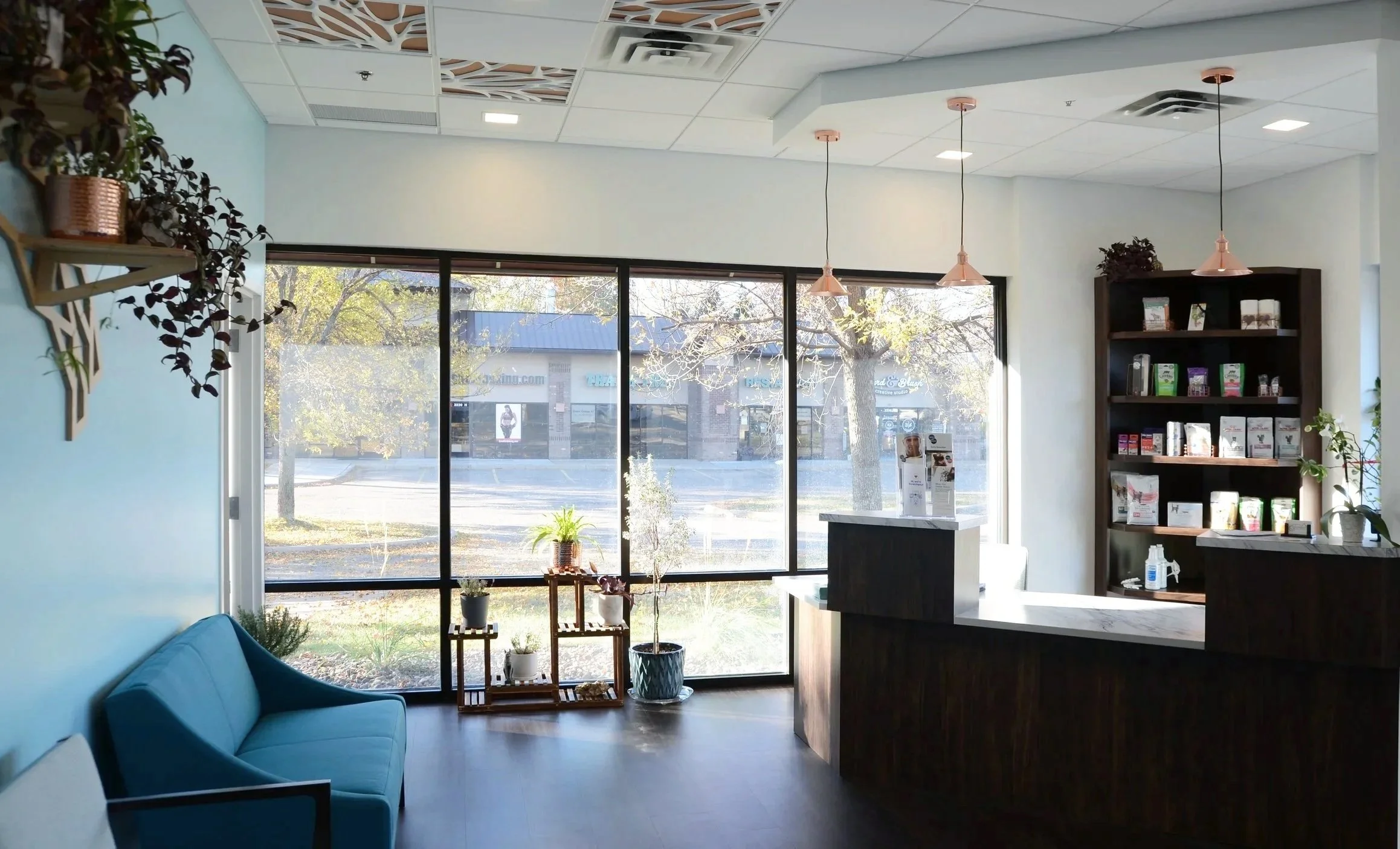 Silvervine Cat Clinic