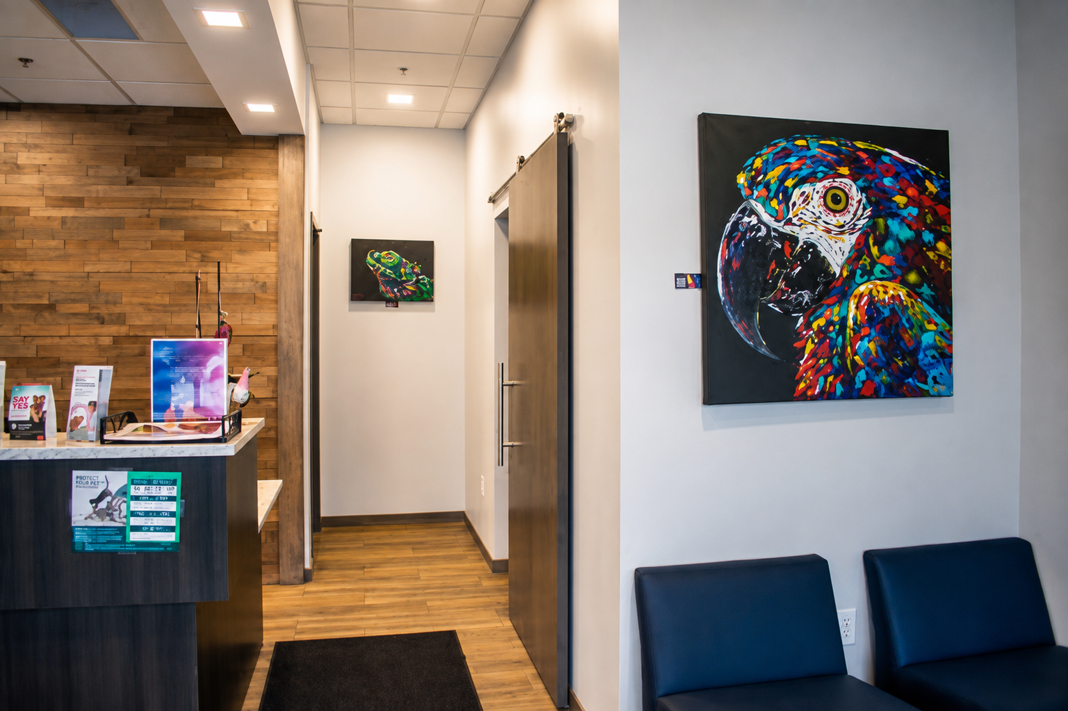 Homey Gnome Veterinary Clinic