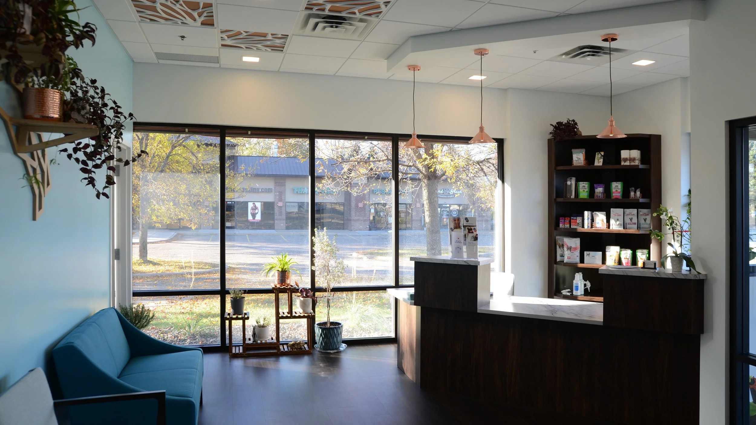 Silvervine Reception 16x9.jpg