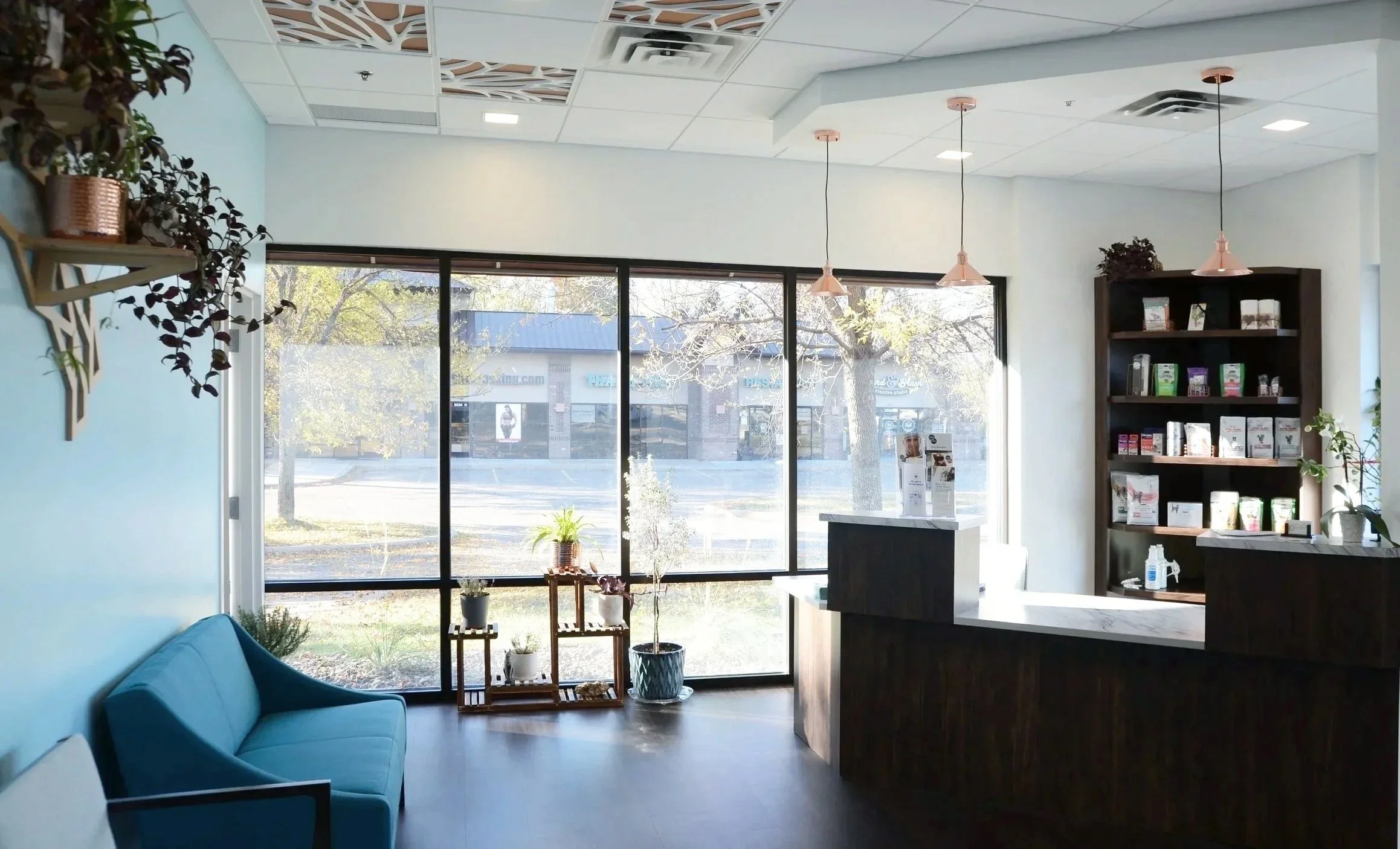 Silvervine Cat Clinic