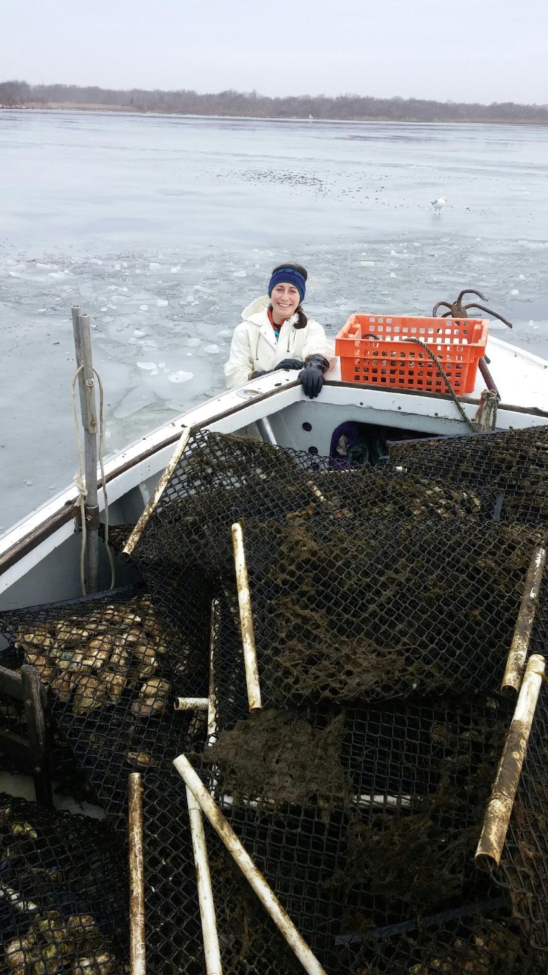 A woman on a boat with a smile, wearing a white jacket and black gloves, surrounded by a load of oysters and mussels in mesh bags, with a frozen body of water and a seagull in the background.