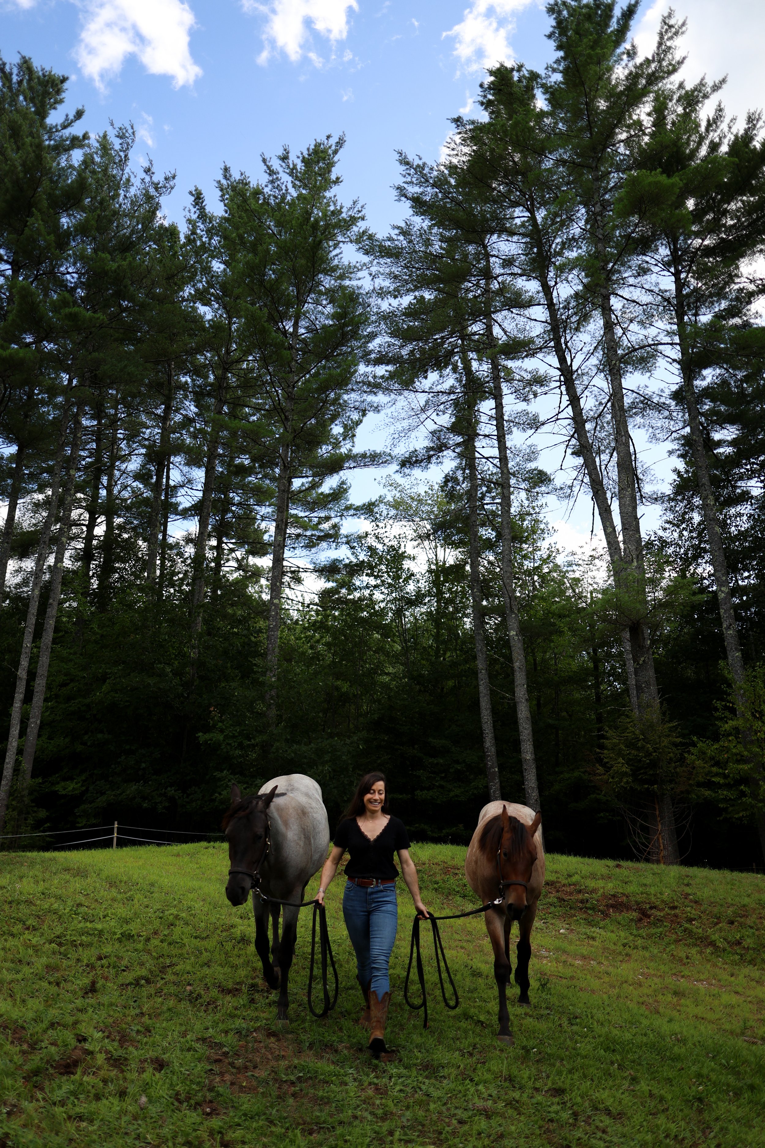 A woman walking two horses on a grassy hill in a forest clearing, with tall trees and a partly cloudy sky in the background.