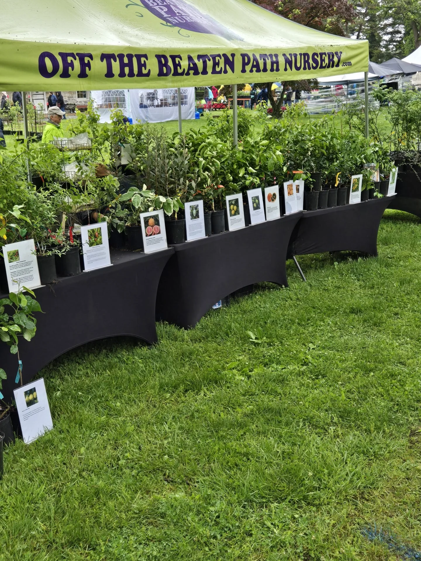 Herb & Garden Faire at Landis Valley Museum