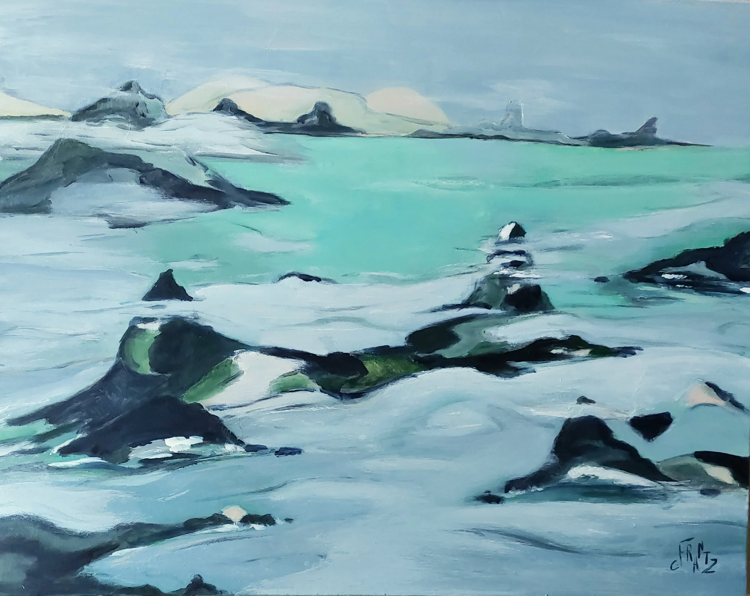 N°101 Toile 73 x 92 - disponible