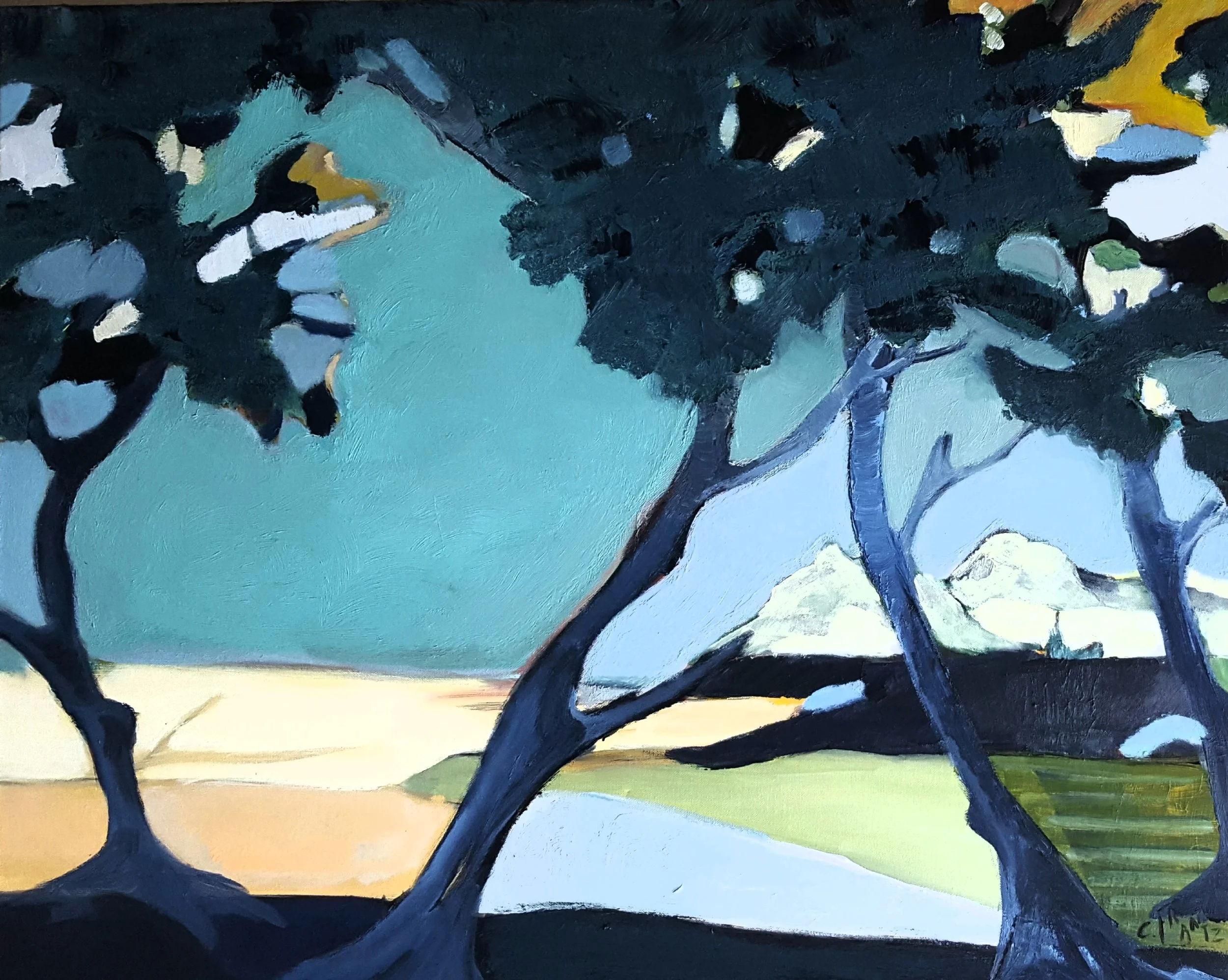 N°94 Toile 73 x 92 - non disponible