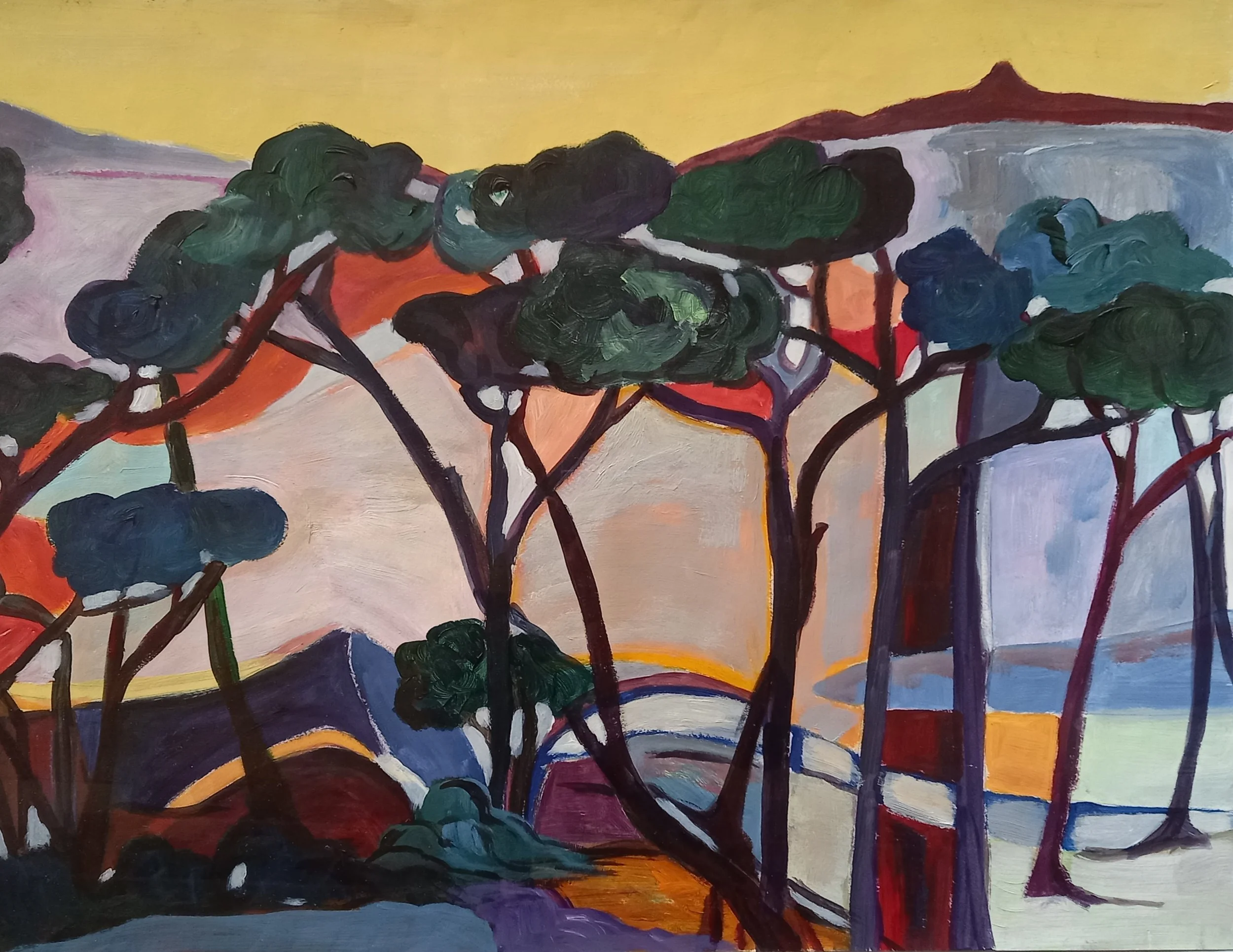 N°13 Papier 45 x 65 - non dispo