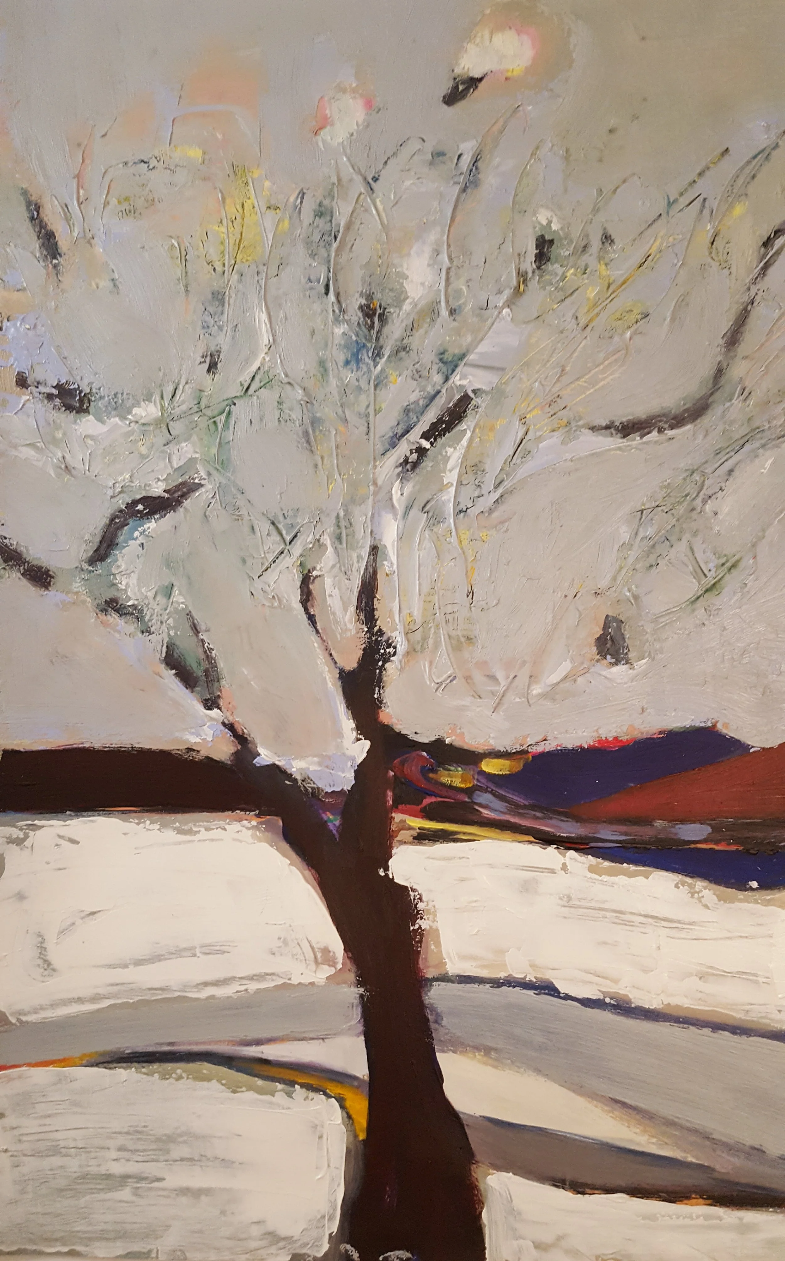 N°31 Toile 70 x 50 - non dispo