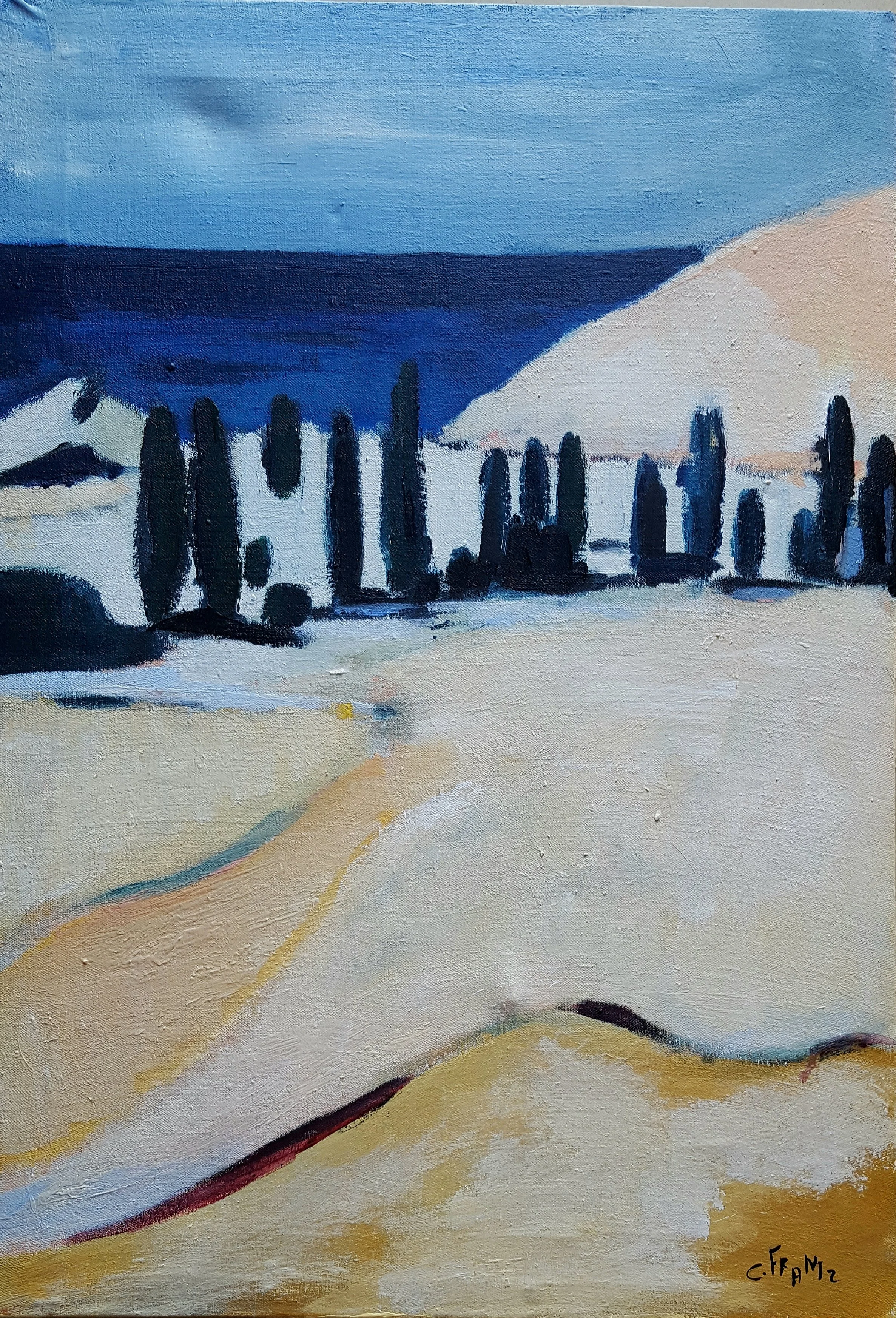 N°69 Toile 70 x 50 - non dispo