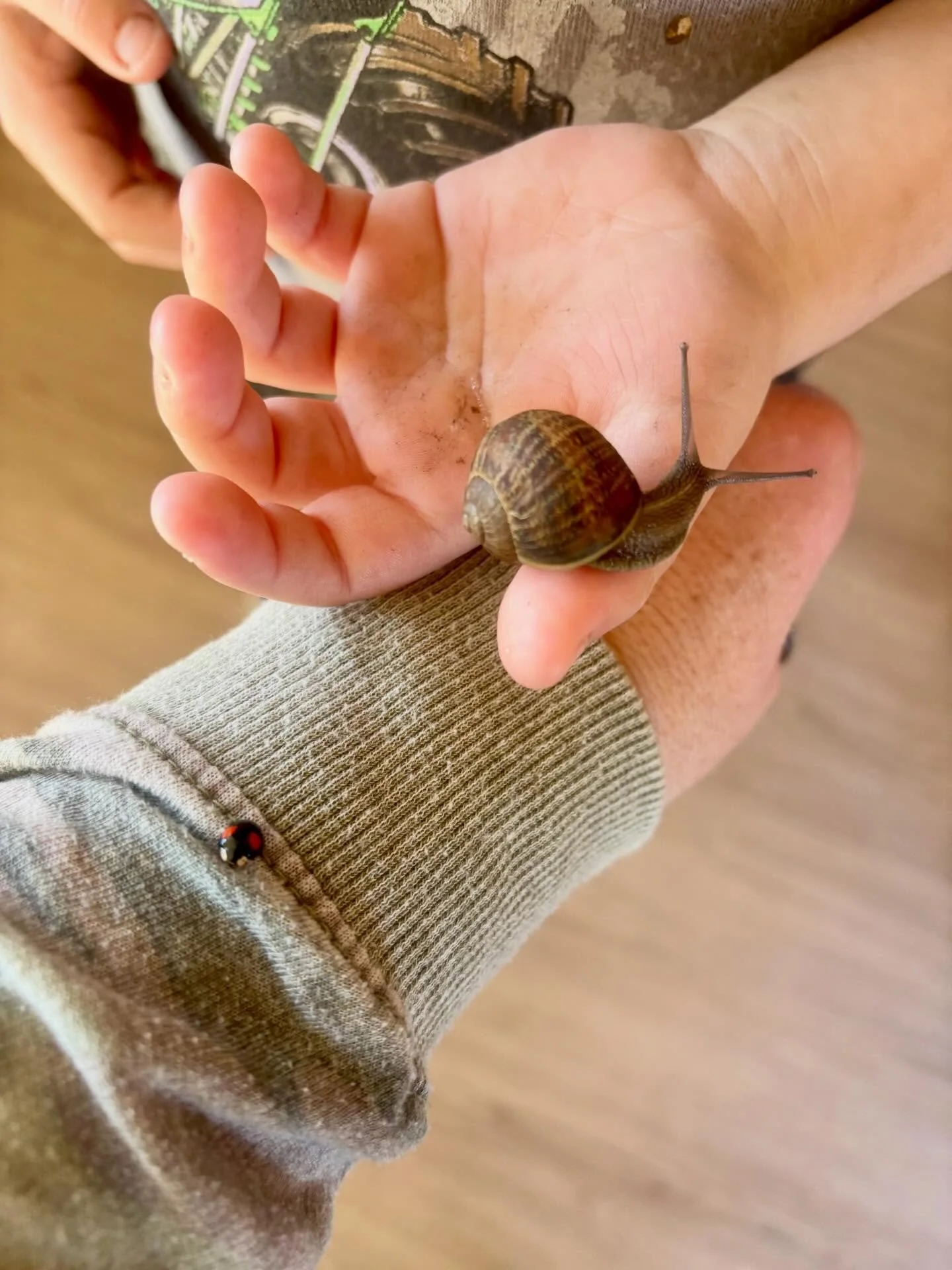 &hearts;️ Welcome home, Tiana &hearts;️ 

Tiana will be the first to tell you she is not the manifesting type. No vision boards, no crystals, no speaking things into existence. That was never her. She believed in hard work, pushing through, and figur