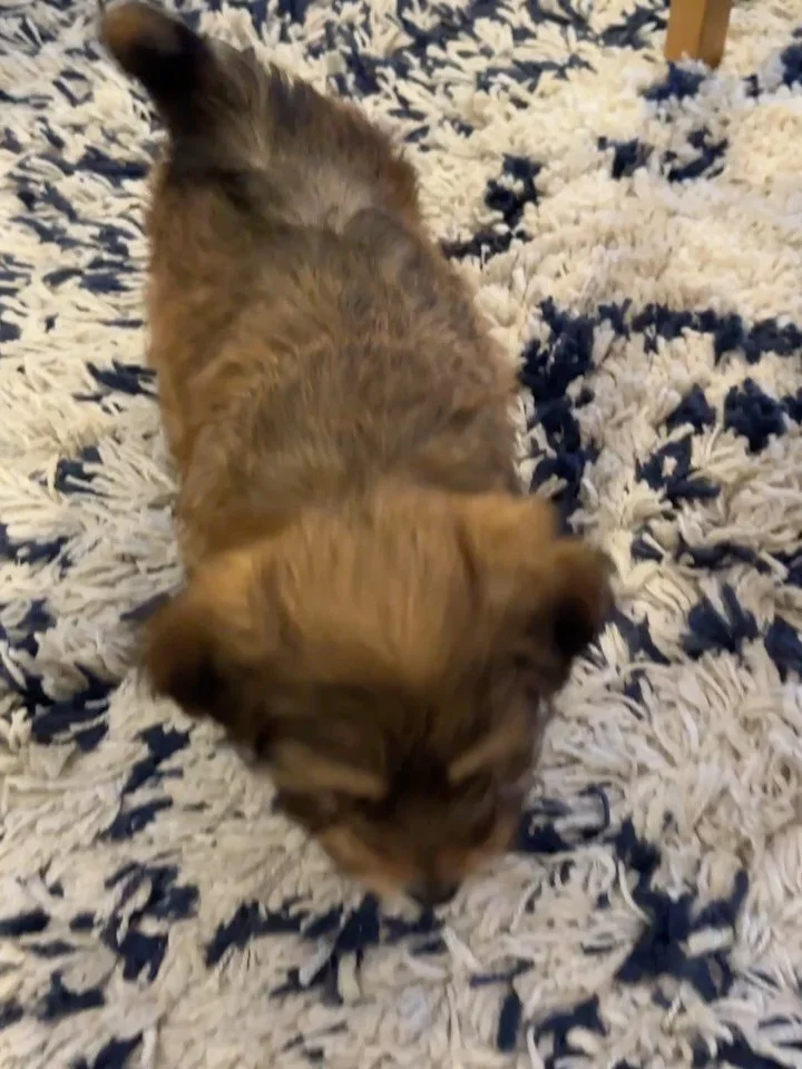 💙Welcome home, Jessela. 💙
Jessela's journey is one of quiet strength and unwavering love.
A young single mom, she did whatever it took to care for her son&mdash;even when that meant moving between shelters and living in their car. Through it all, s