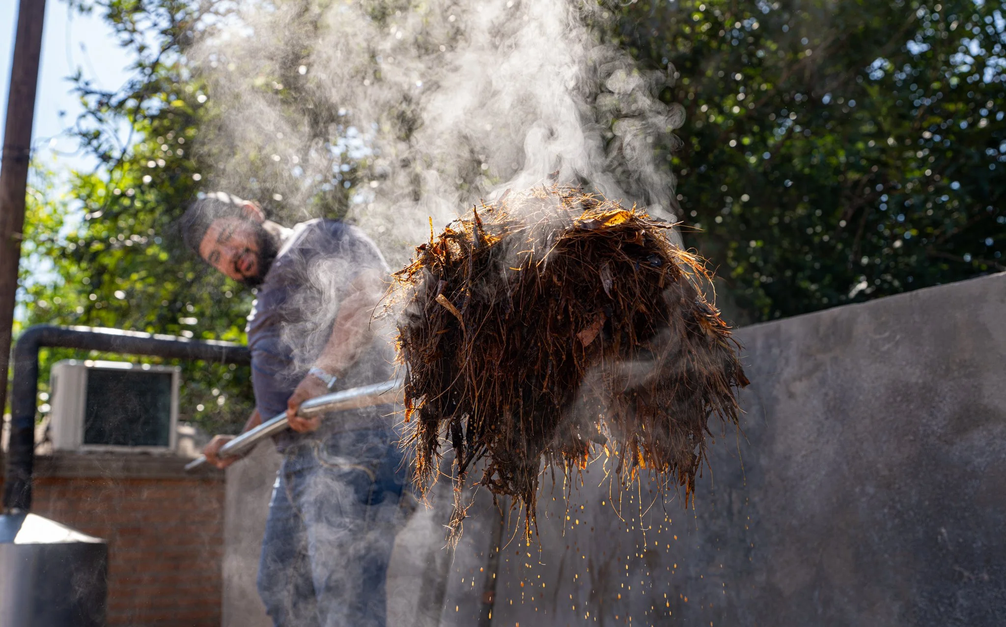 A man is removing cooked sotol from an earthen pit oven, with smoke rising into the air and green trees in the background.