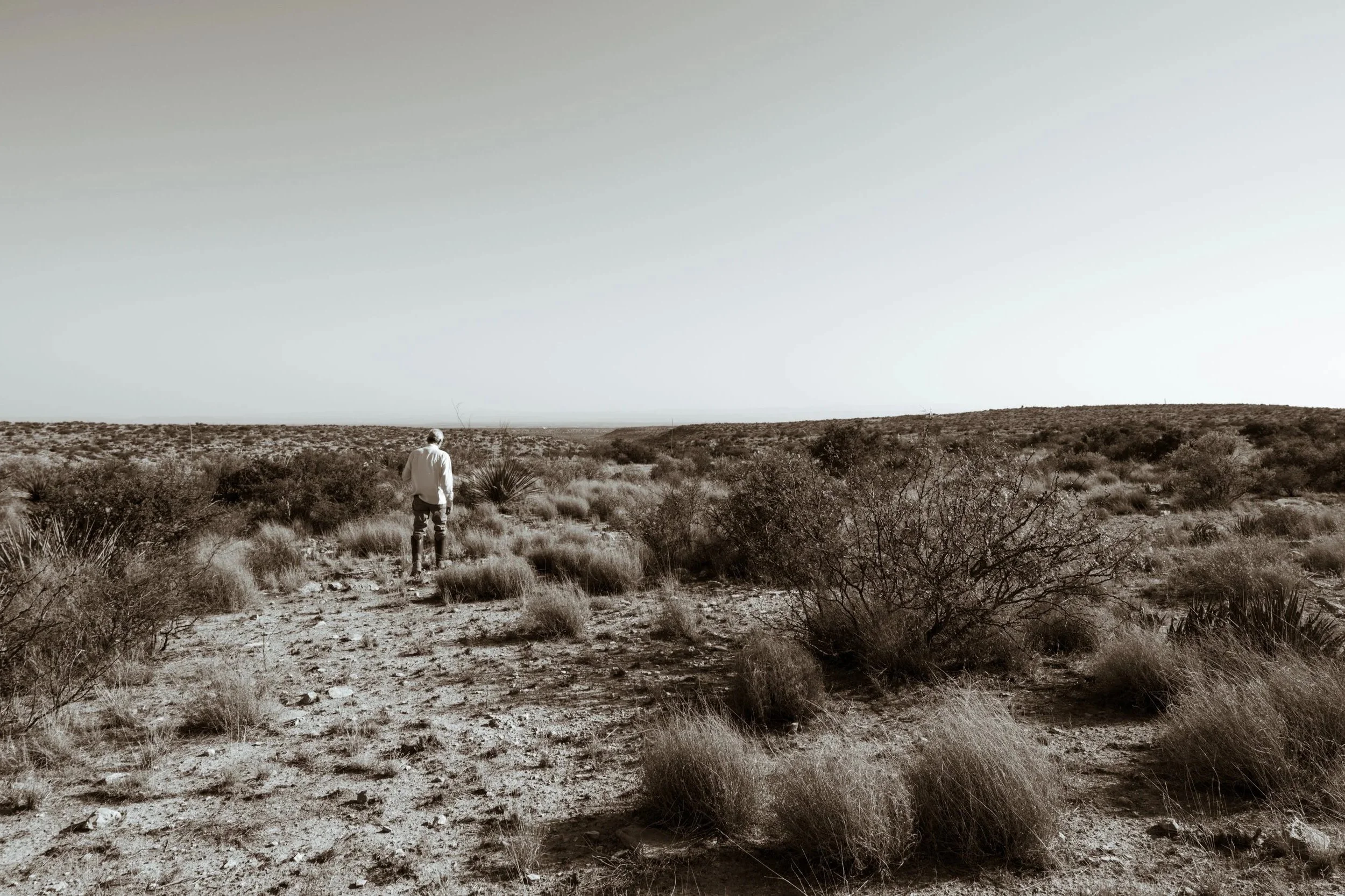 A man walking in a desert landscape with sparse bushes and dry earth, under a clear sky.