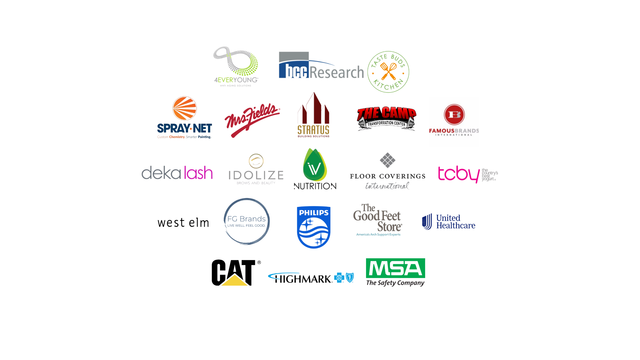 Collection of various company logos, including HCC Research, Spray Net, Mrs. Fields, Stratus, The Camp, Famous Brands International, Dekalash, Idolize, Nutriion, Floor Coverings International, TCBY, West Elm, FG Brands, Philips, The Good Feet Store, United Healthcare, CAT, Highmark, and MSA.