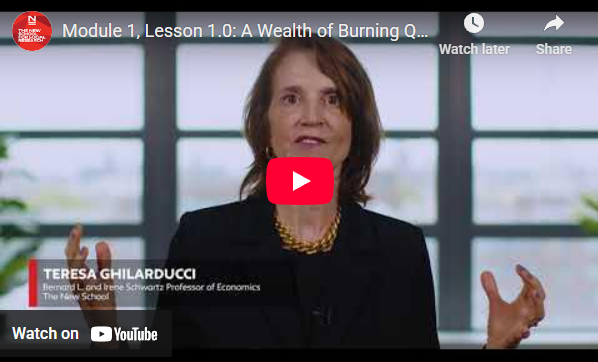 Module 1, Lesson 1.0: A Wealth of Burning Questions, a Poverty of Answers