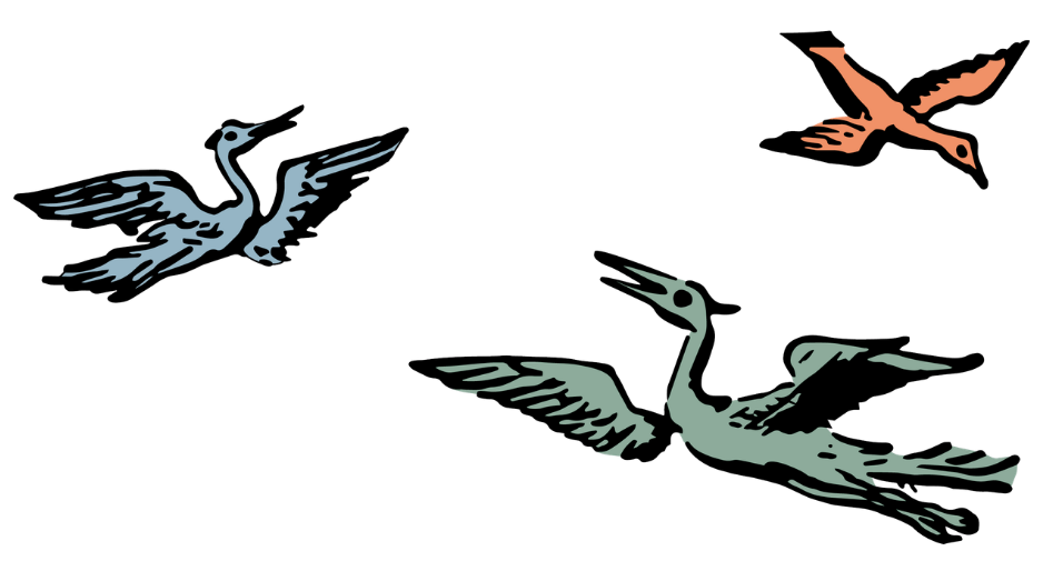 Illustration of three stylized flying birds in different colors and positions, set against a black background. This is a brand image for Noble Twist Taphouse that serves the best pizza in Saugatuck, MI, best pizza in Holland, MI.