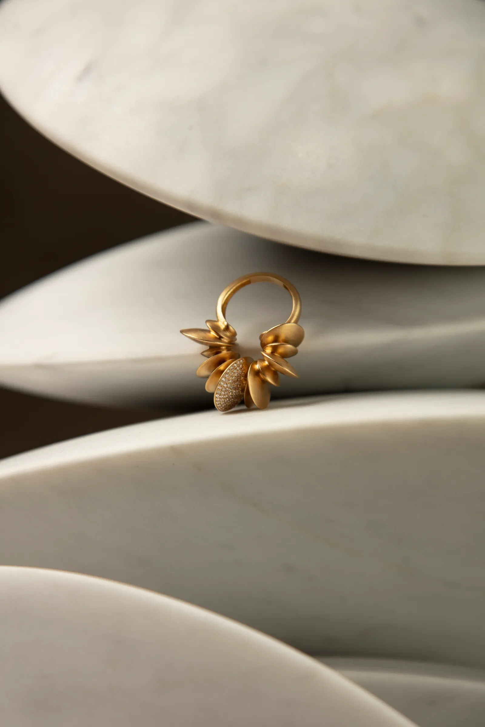 177A2540 copy.JPG.webp