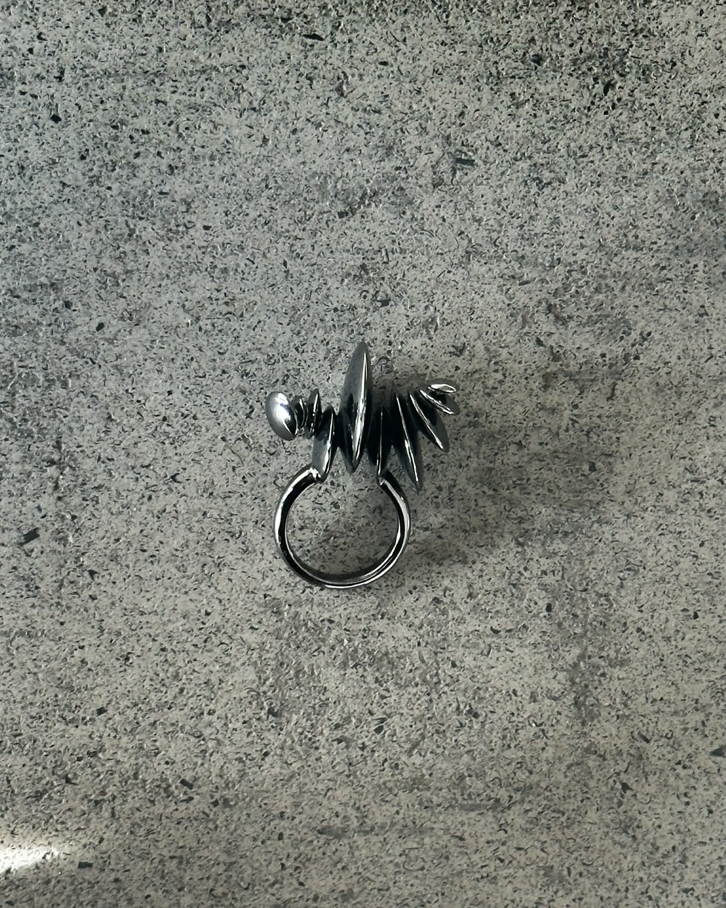 ASTRA Ring 1webp.webp