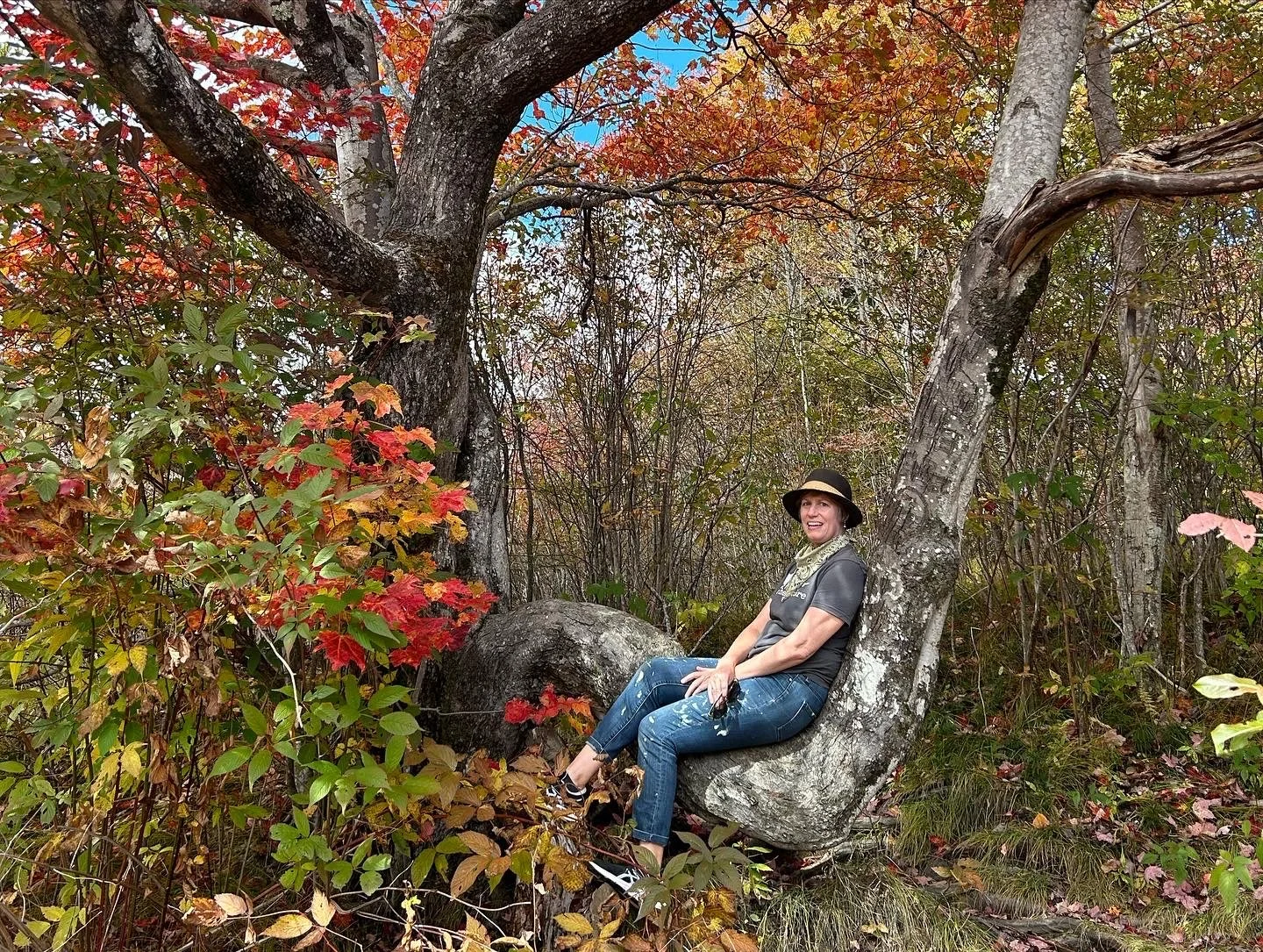 Alle Marshall wears a t-shirt, jeans, and hat and sits on the limb of a large tree, surrounded by autumn colored leaves.