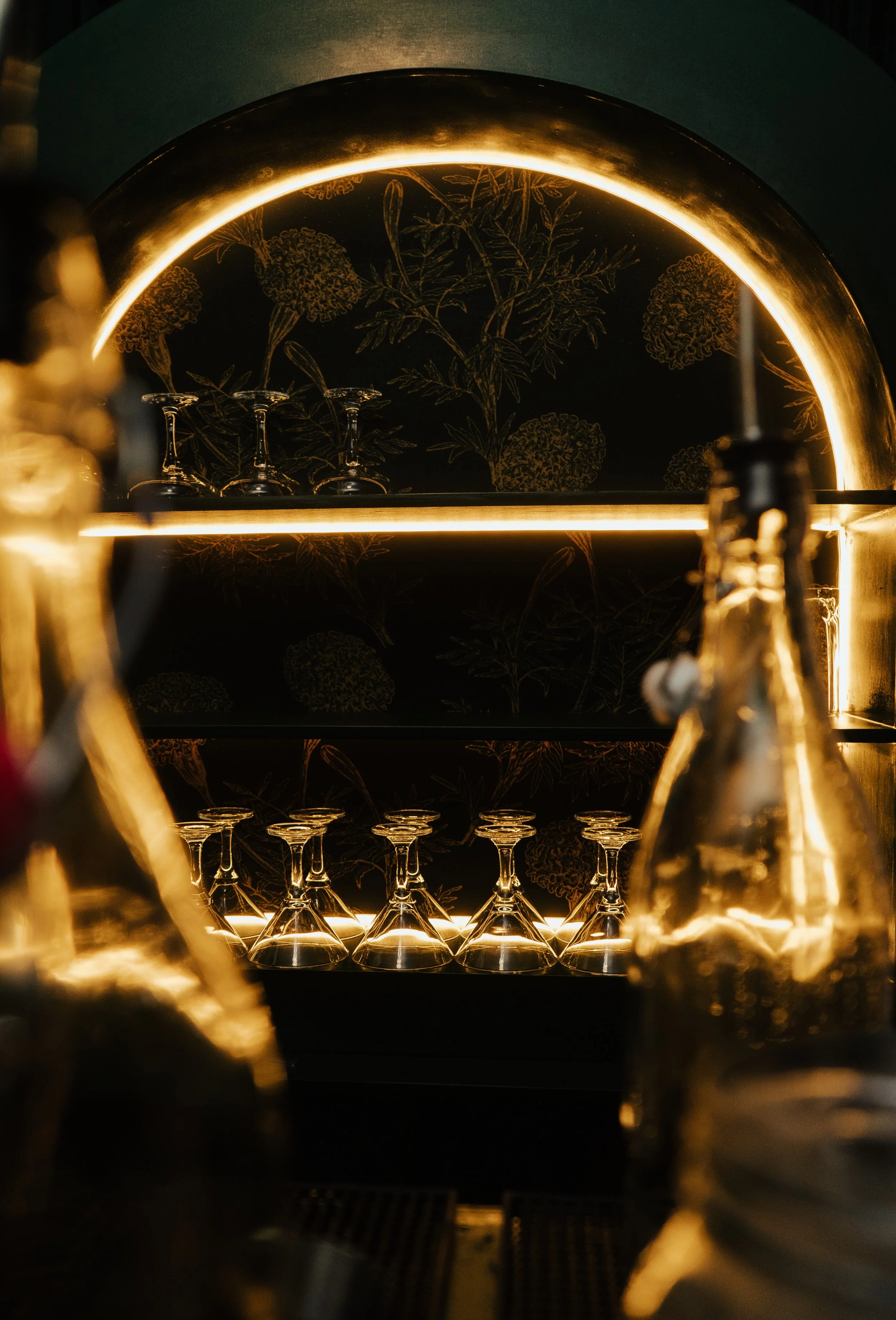 Lit up Back bar of the Apotheca Mixology Mobile Bar with champagne coupes and martini glasses on its shelves.