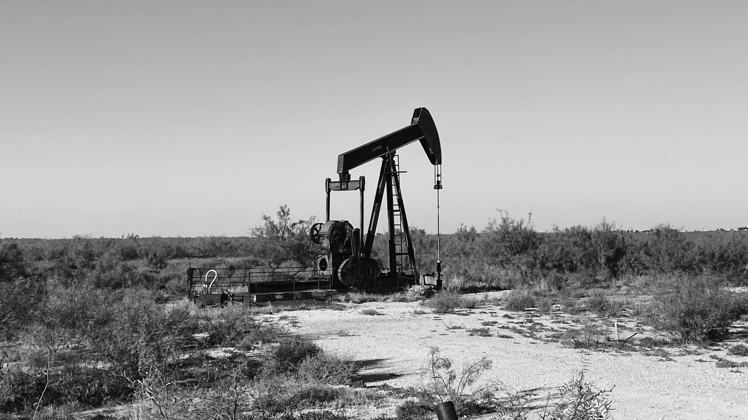 Crude Reality, Calm Perspective