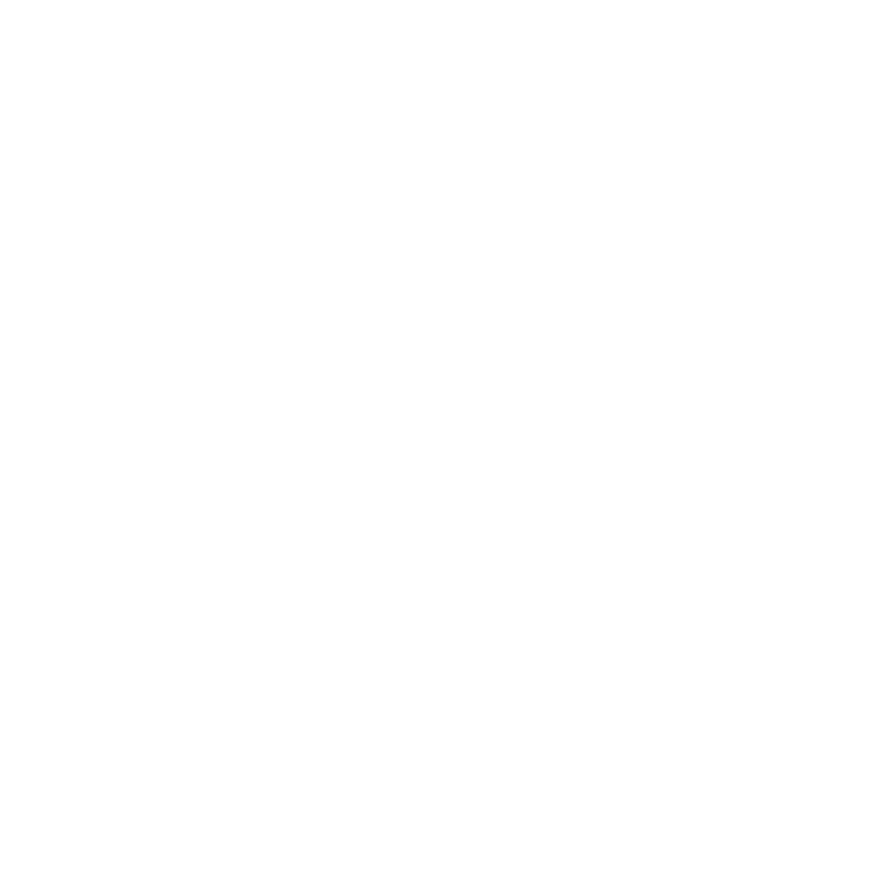 Plan checklist icon