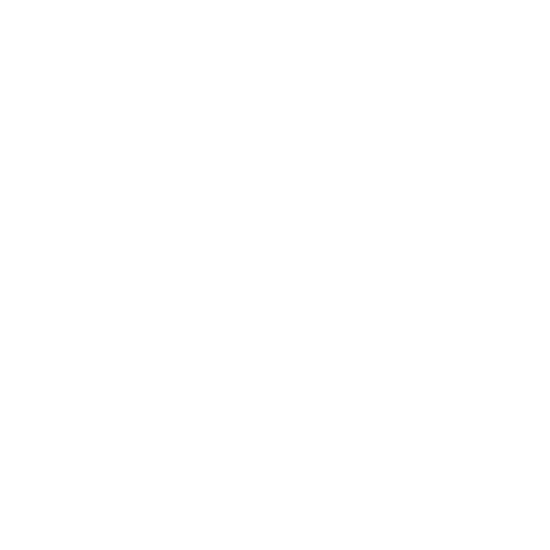 Conversation icon