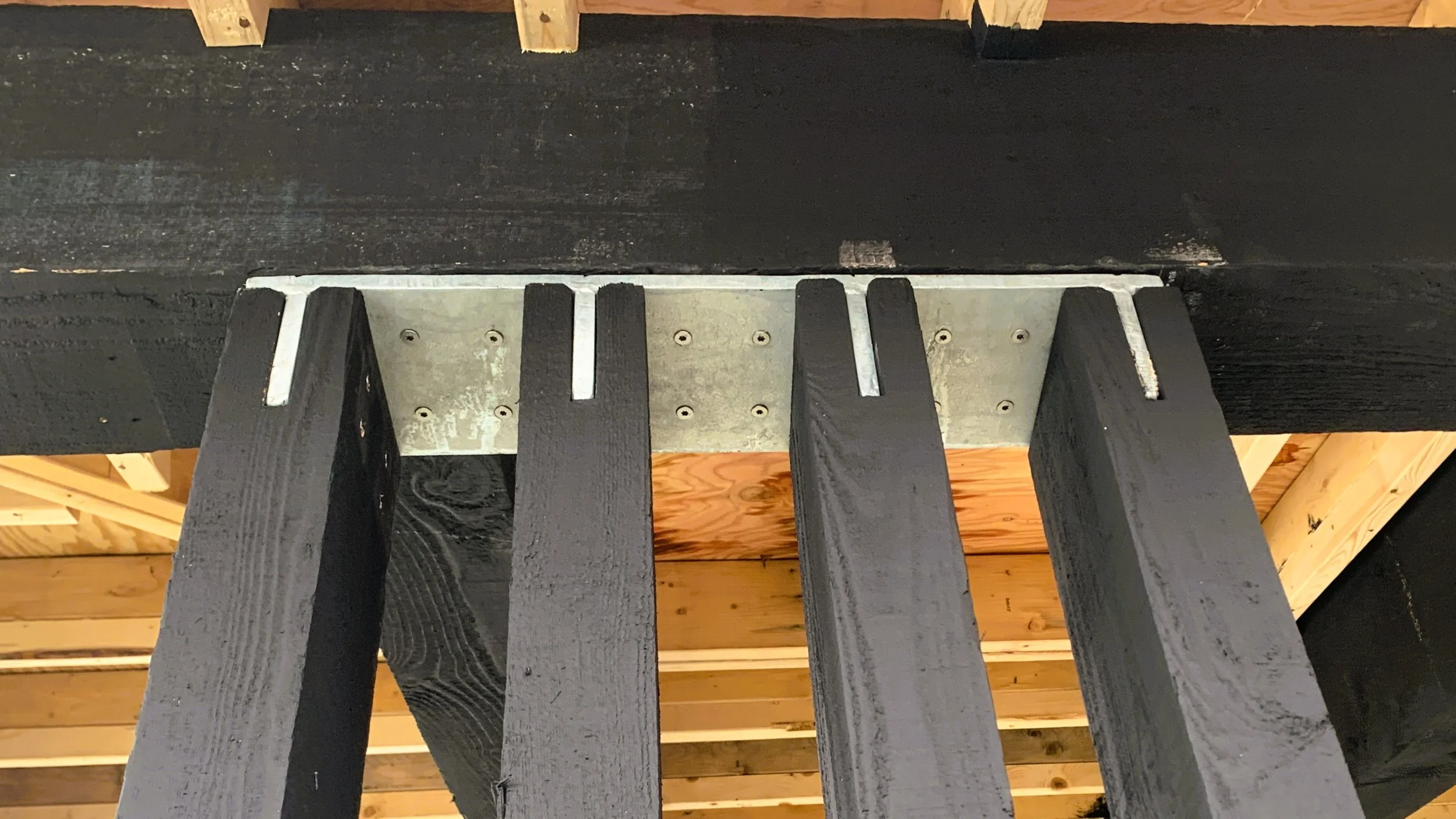 IMG_4785 2 rotated 16 to 9.jpg