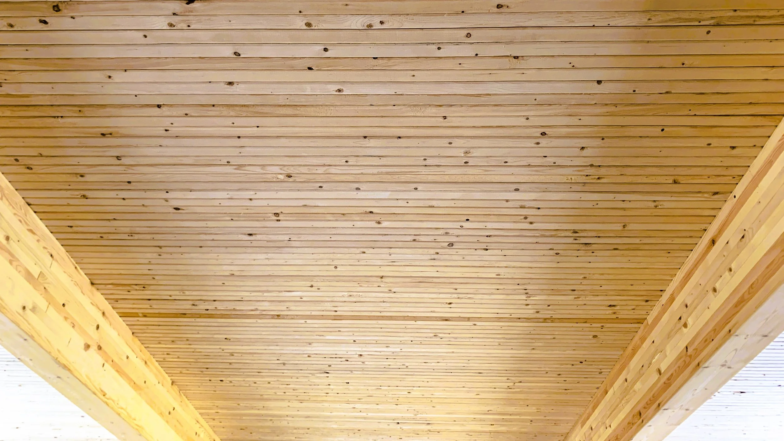 Mass timber 16 to 9 warm.JPG