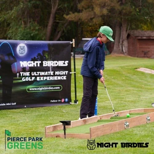Night Birdies