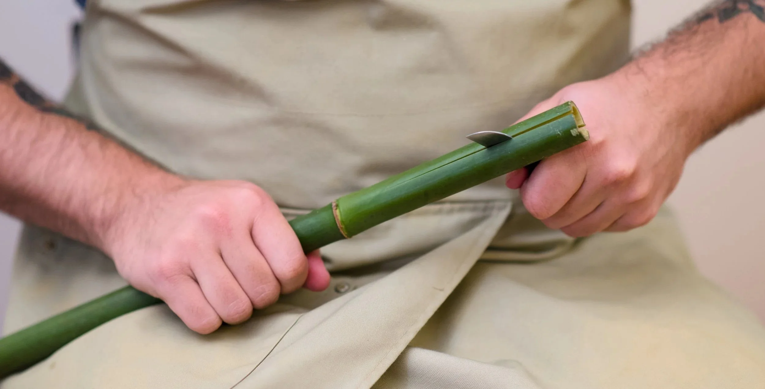 ATO_9328.jpg