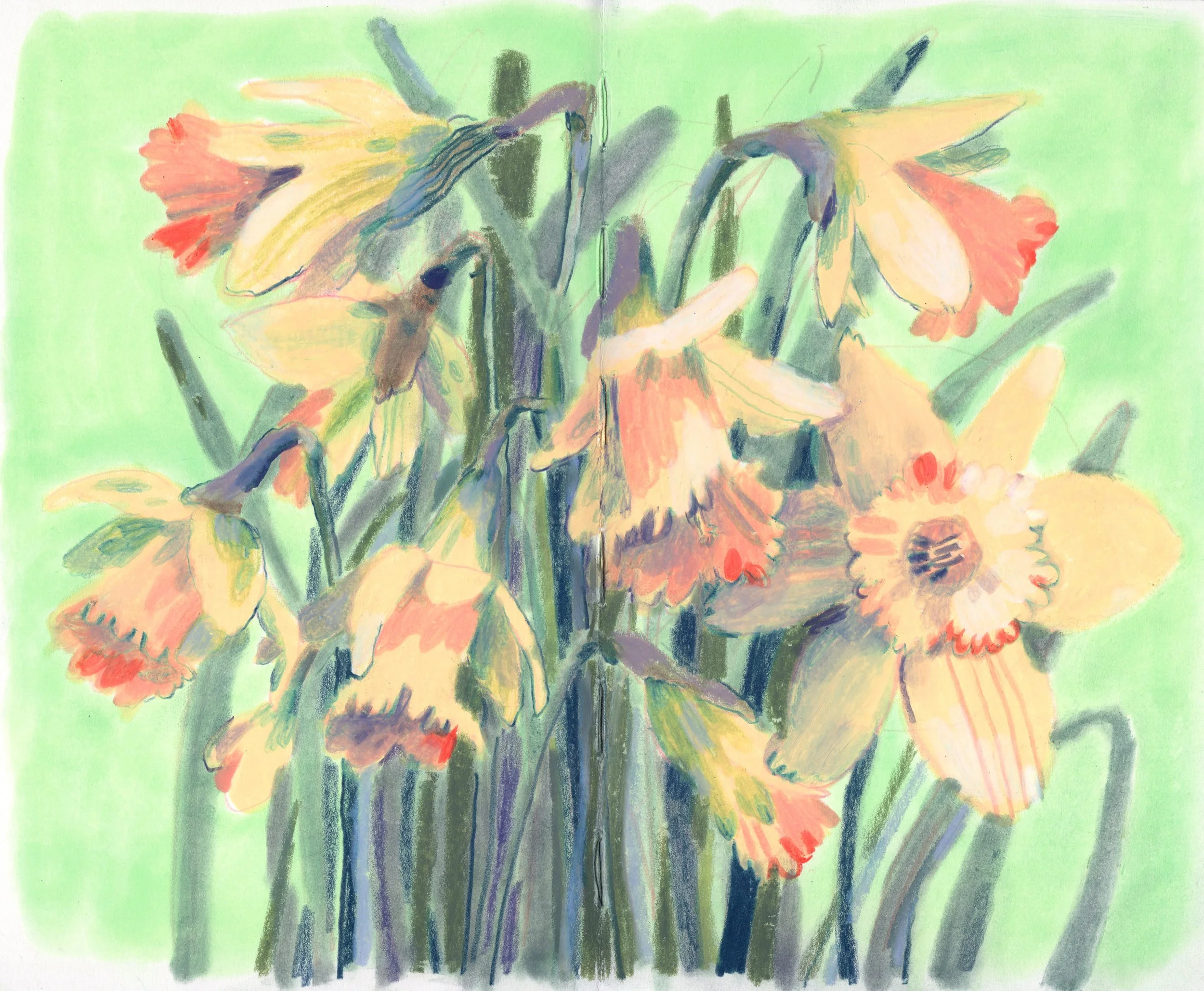 Daffodils color2.jpg