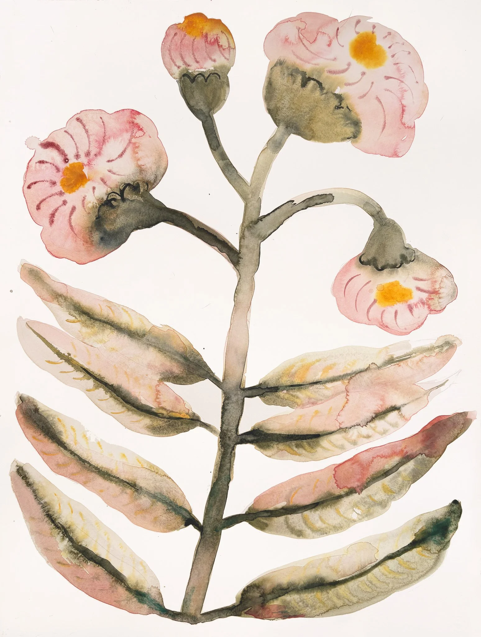 Watercolor painting of a plant with pink flowers and elongated green leaves.