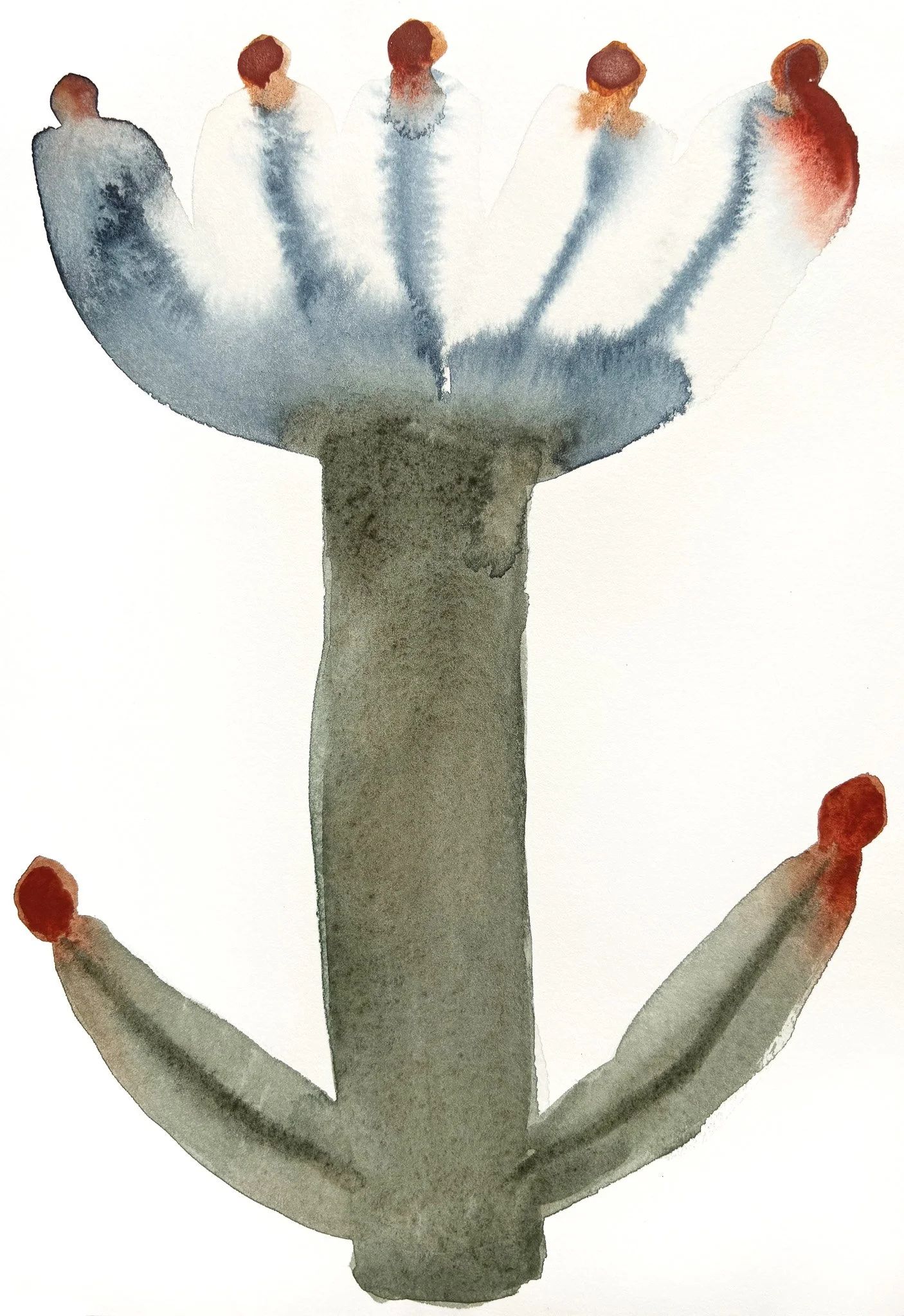 2025_Square Palette_Clown.jpg