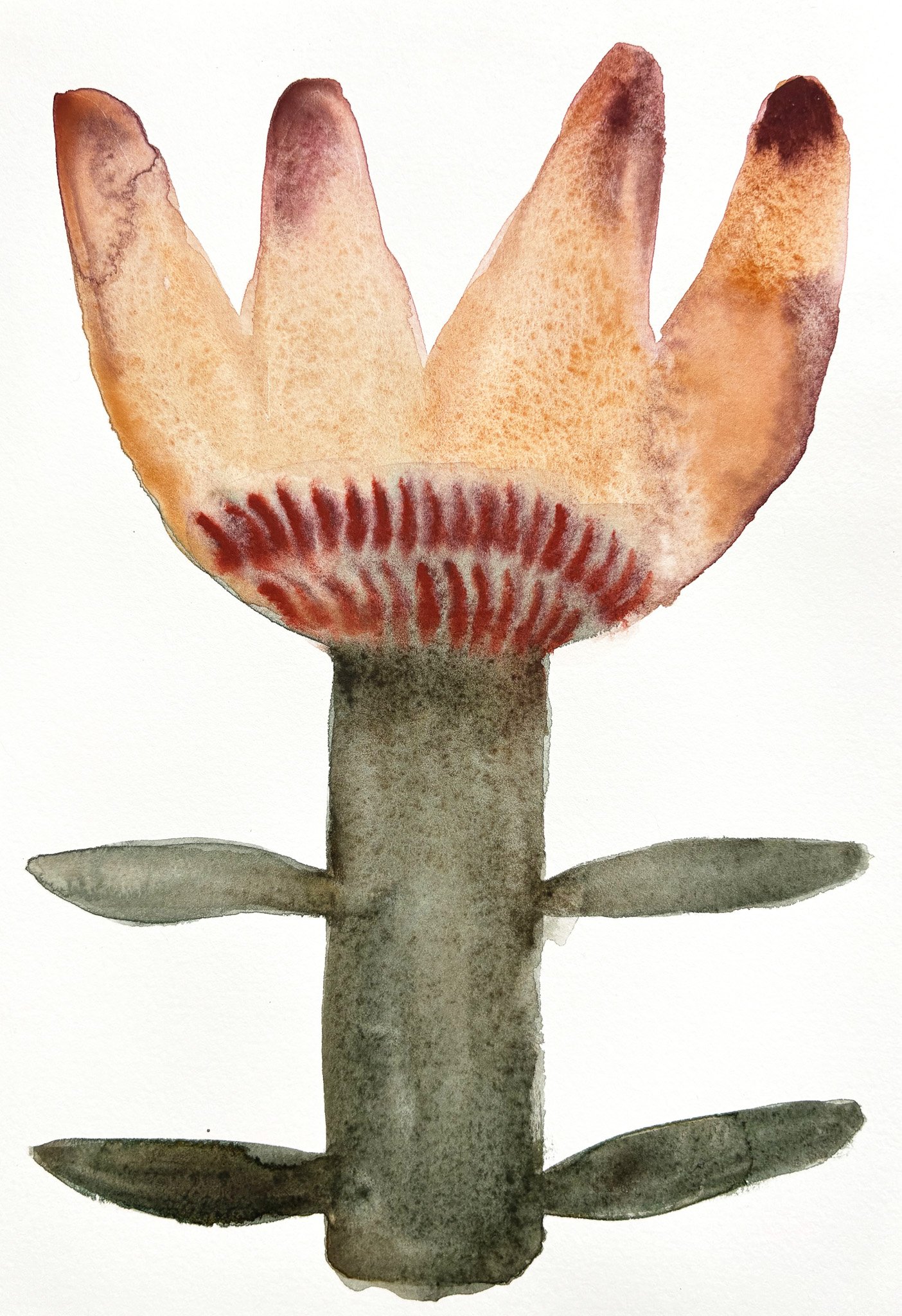 2025_Square Palette_Pangolín.jpg