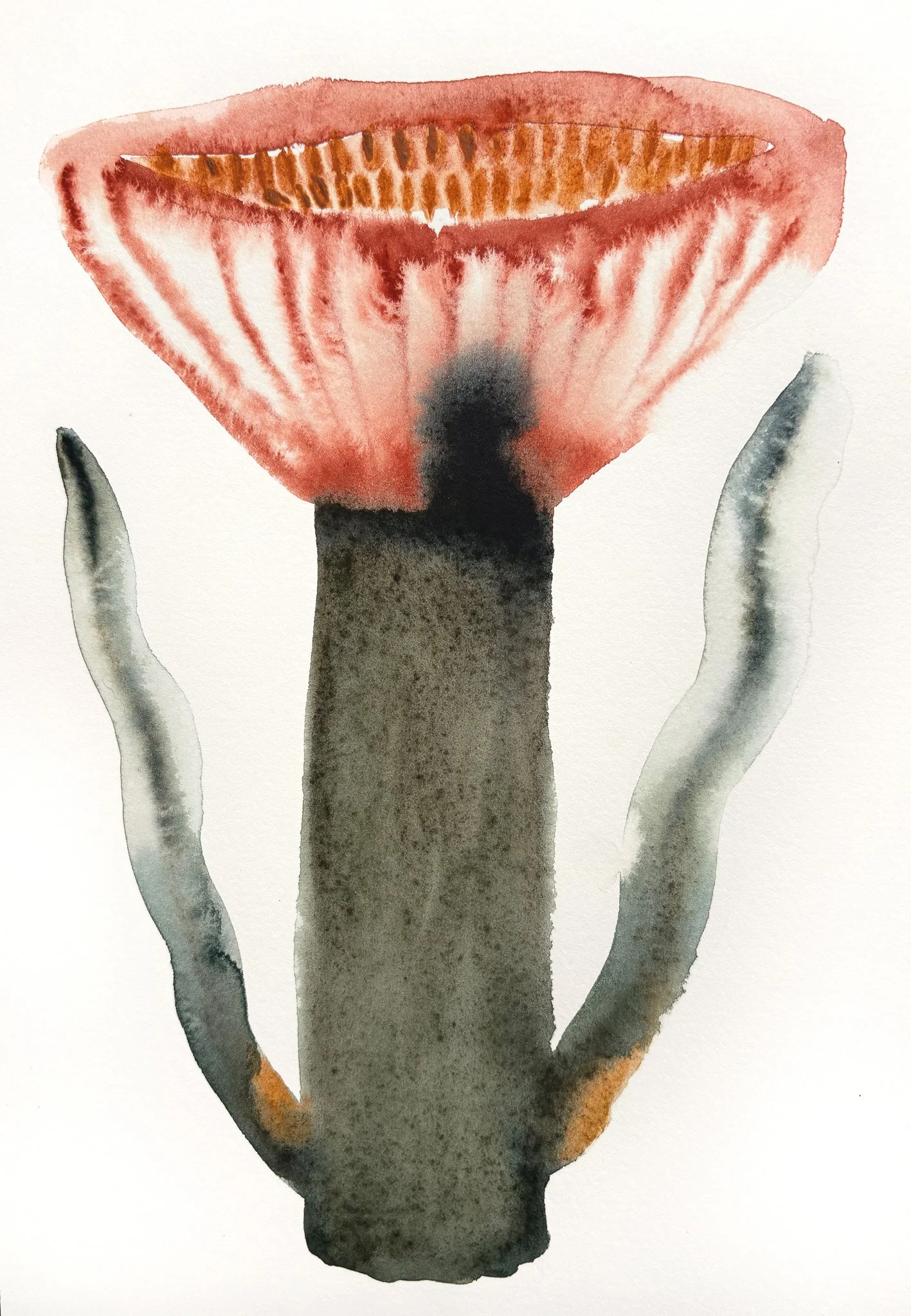 2025_Square Palette_Serpent.jpg