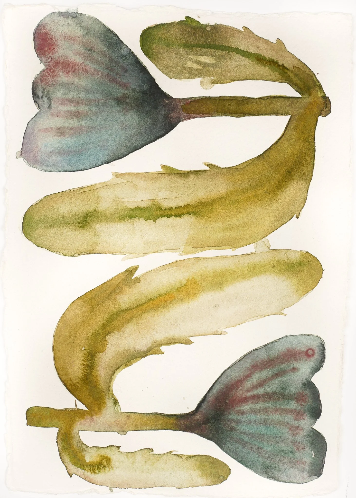 2024_Abstract Studies_Back to Back.jpg