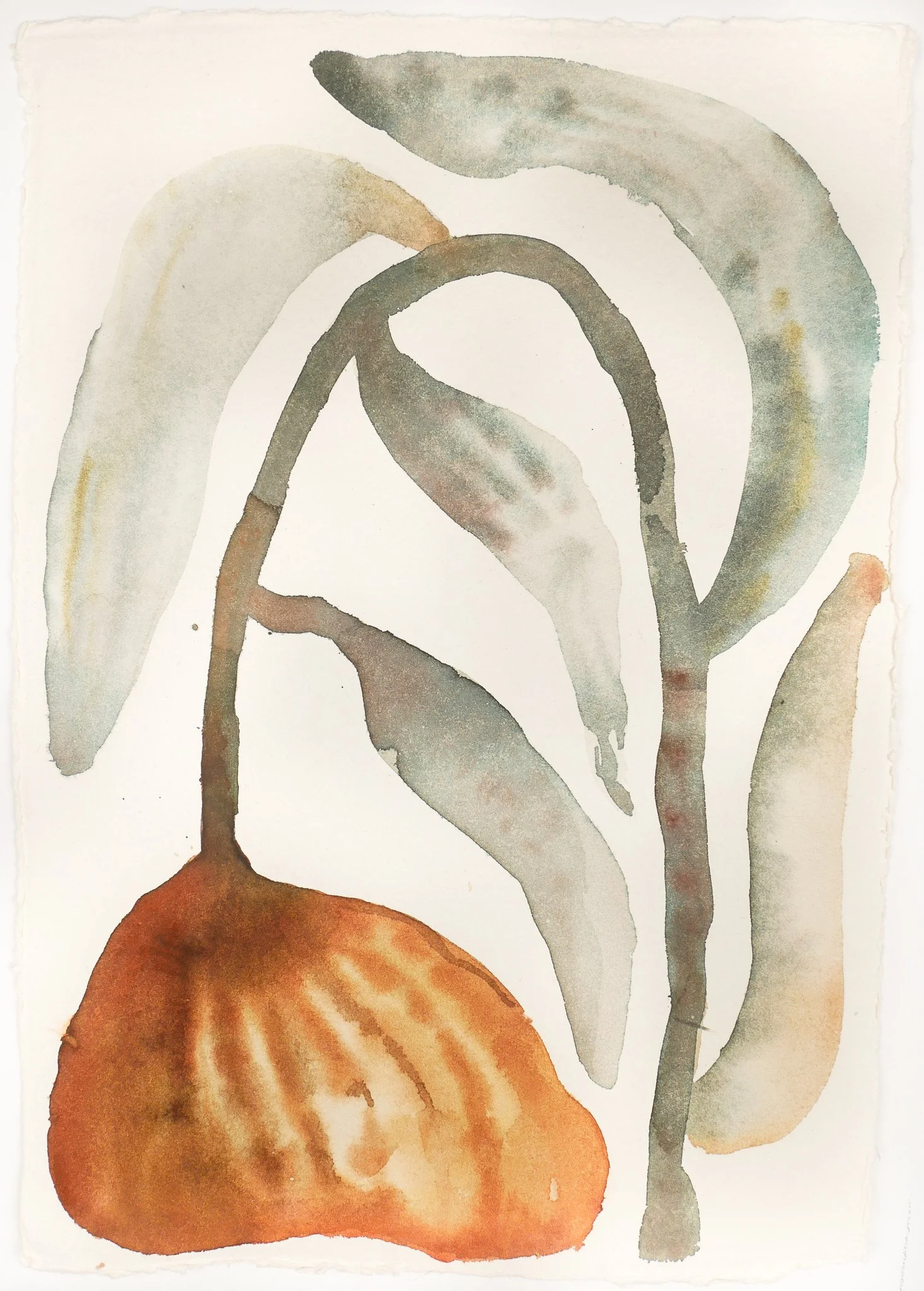 2024_Abstract Studies_Defeated.jpg