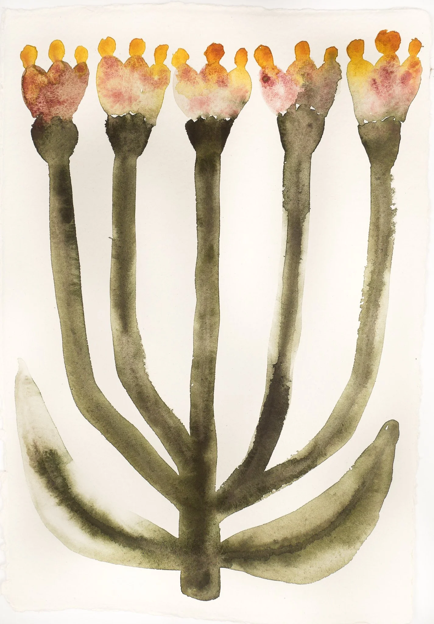 2024_Abstract Studies_Light or Plant.jpg