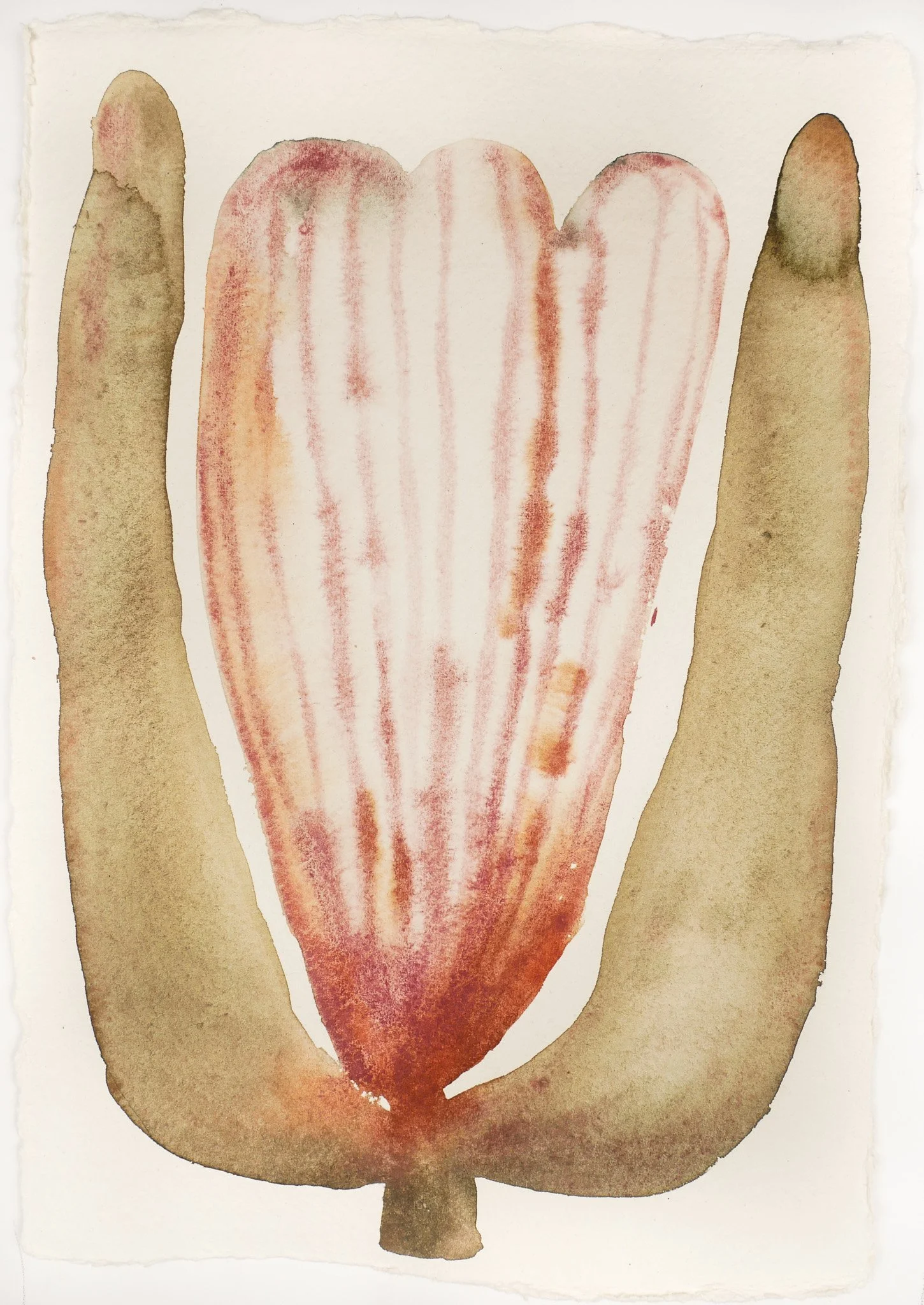 2024_Abstract Studies_Safe Haven.jpg