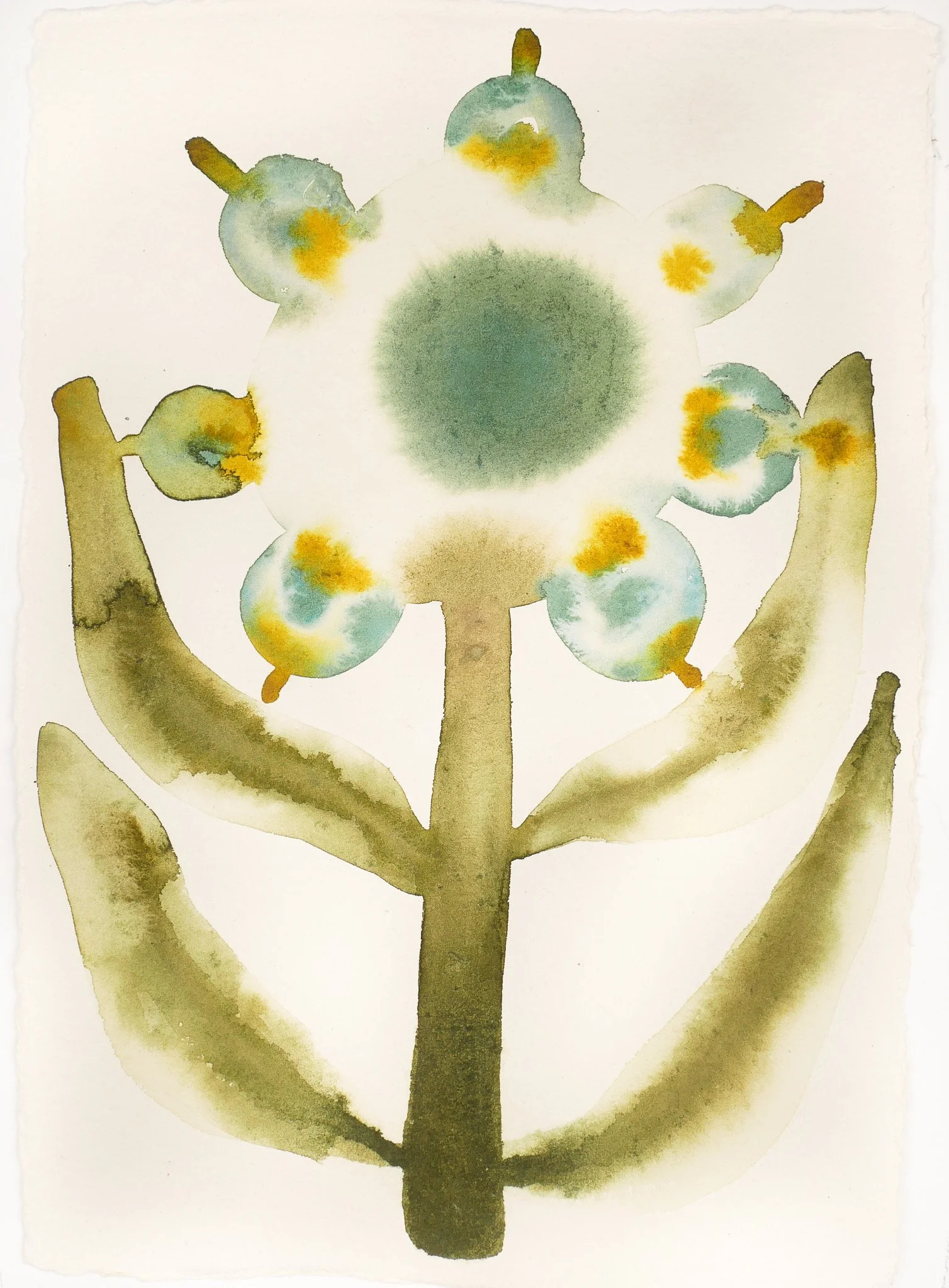 2024_Abstract Studies_Starlight.jpg