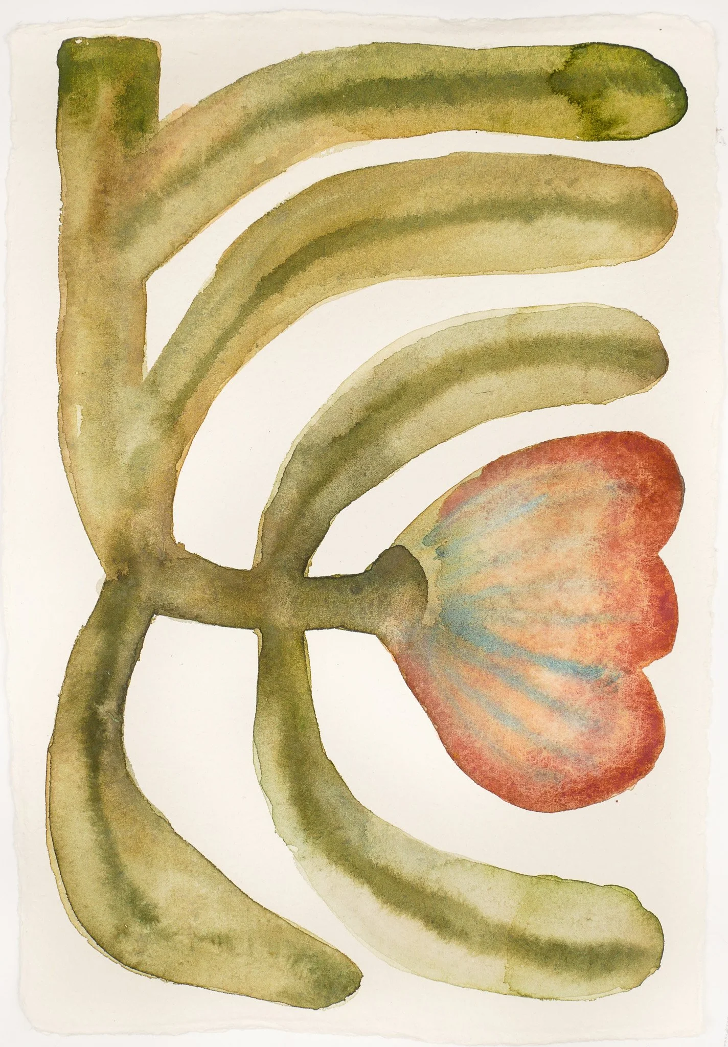 2024_Abstract Studies_Structure.jpg