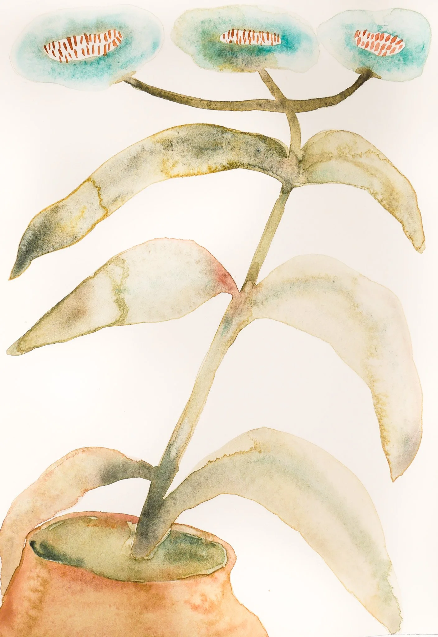 2024_Delicate_A Perfect Stranger.jpg