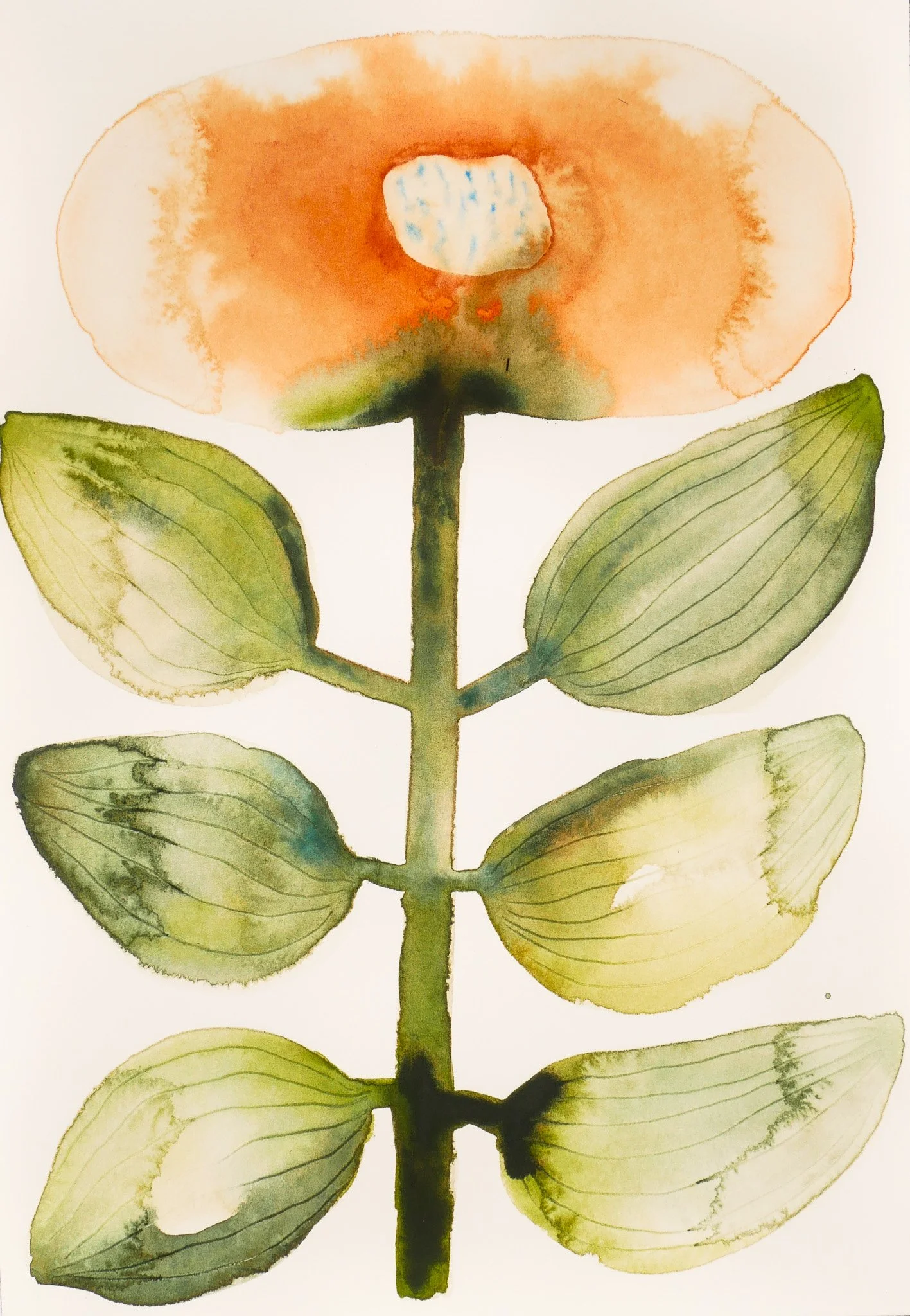 2024_Delicate_Held in Bloom.jpg