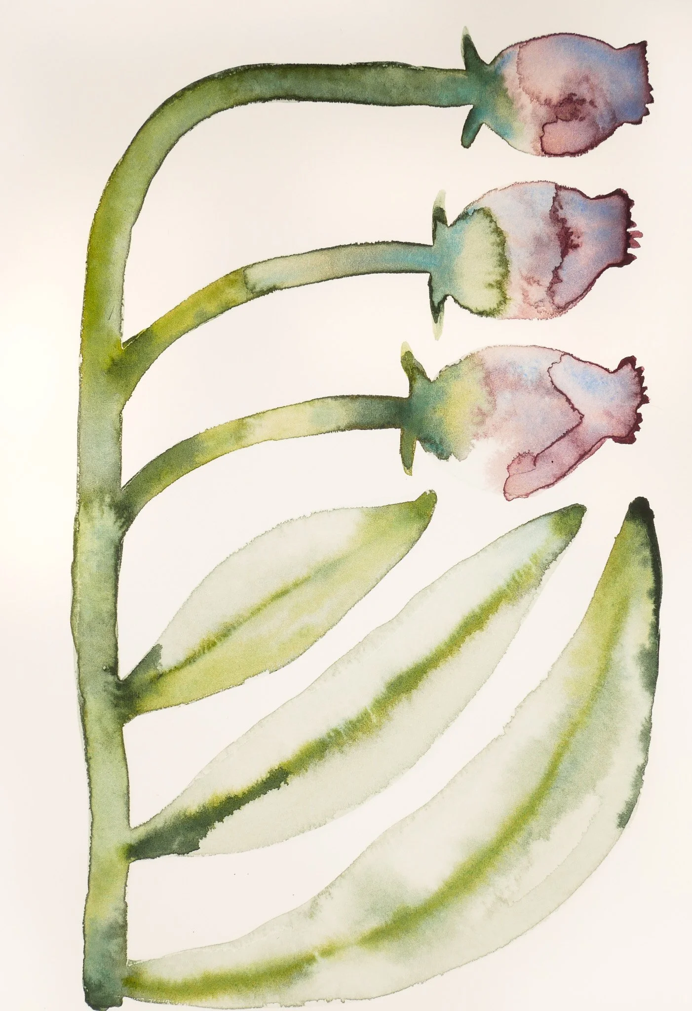 2024_Delicate_In One Direction.jpg