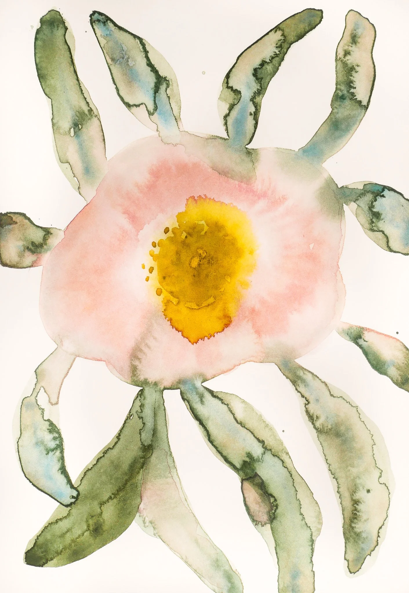 2024_Delicate_Pink Peony.jpg