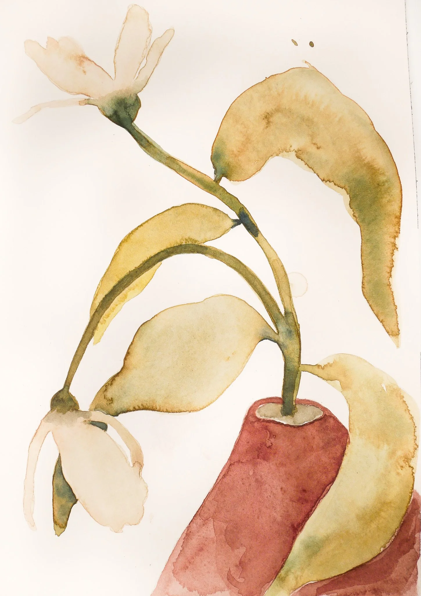 2024_Delicate_The One with Dead Flowers.jpg